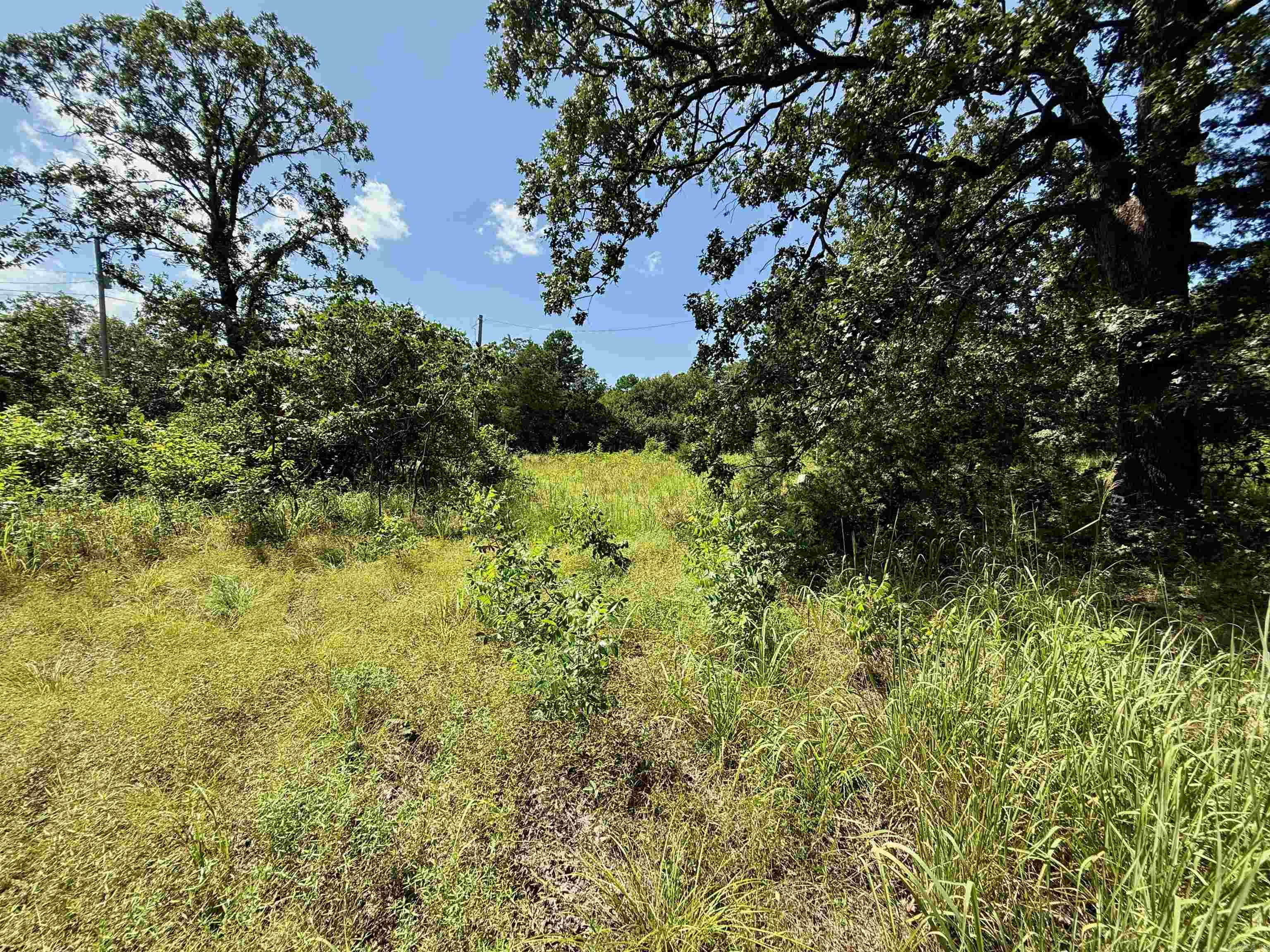 River Wood Estates - Land