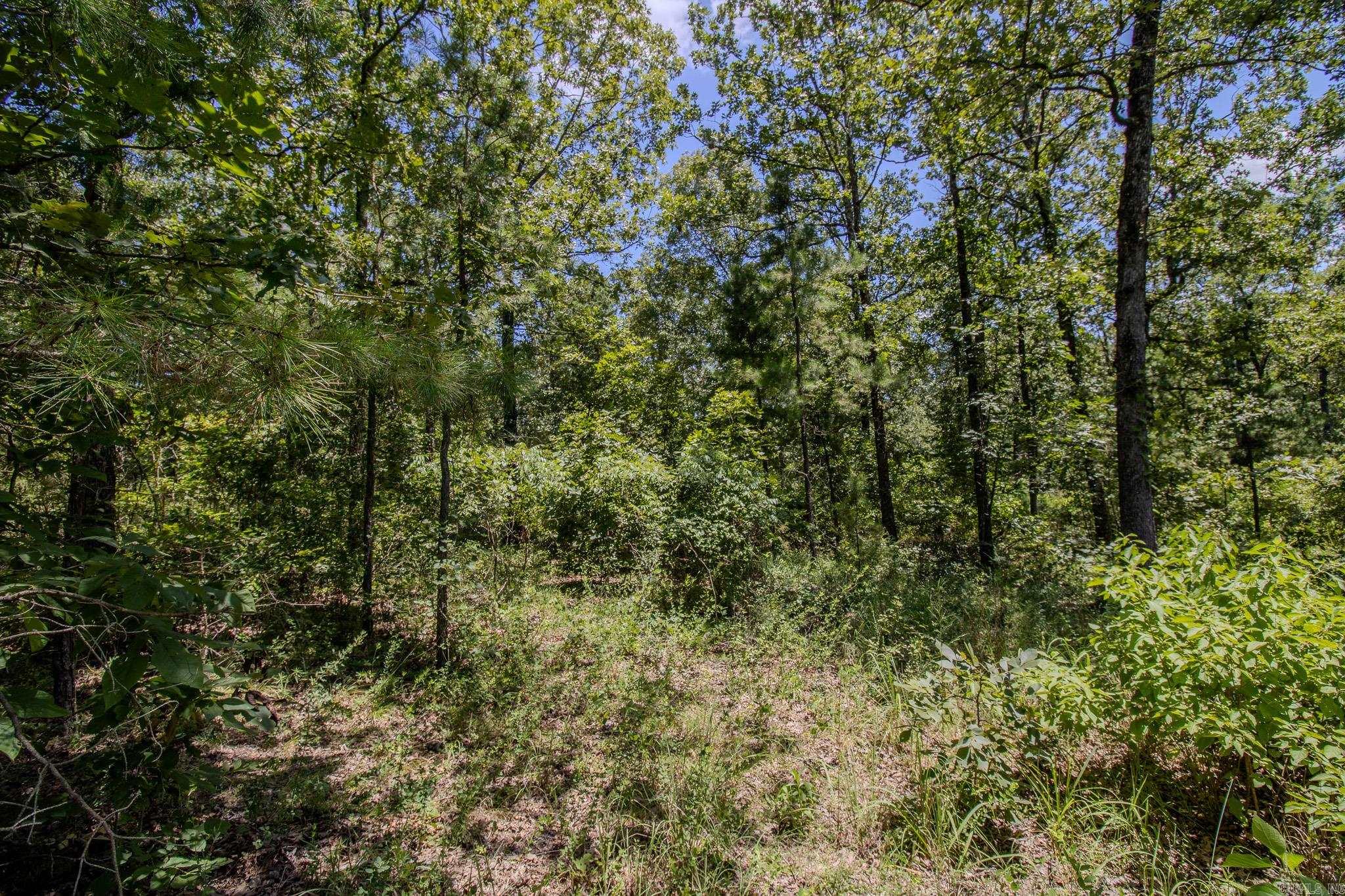 River Wood Estates - Land