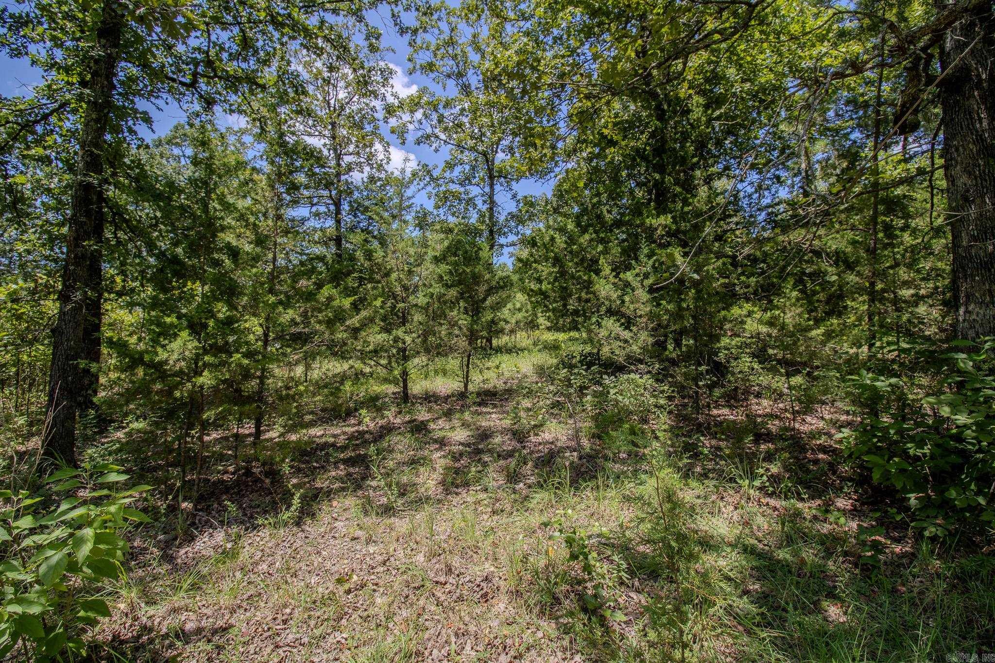 River Wood Estates - Land