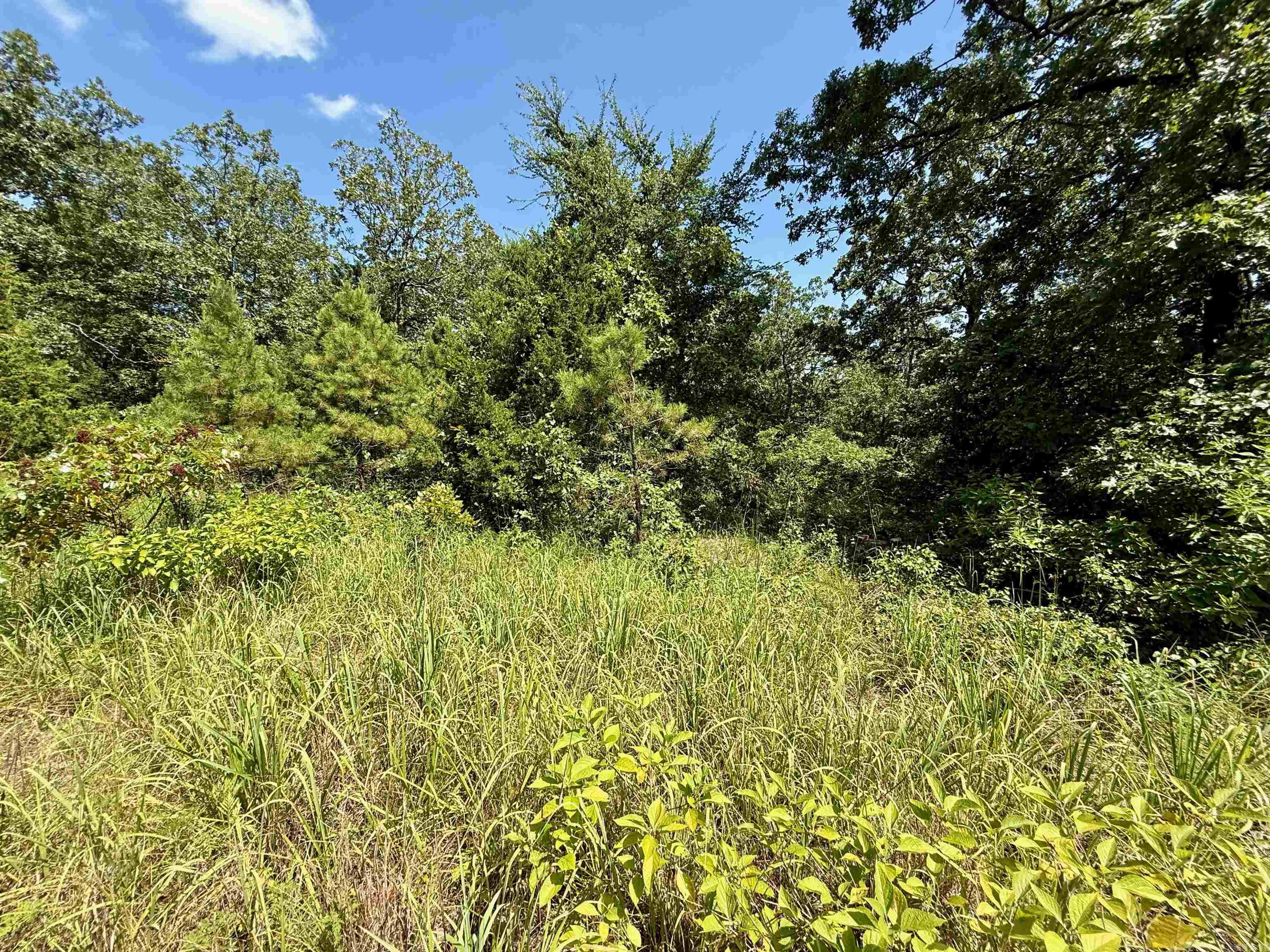 River Wood Estates - Land