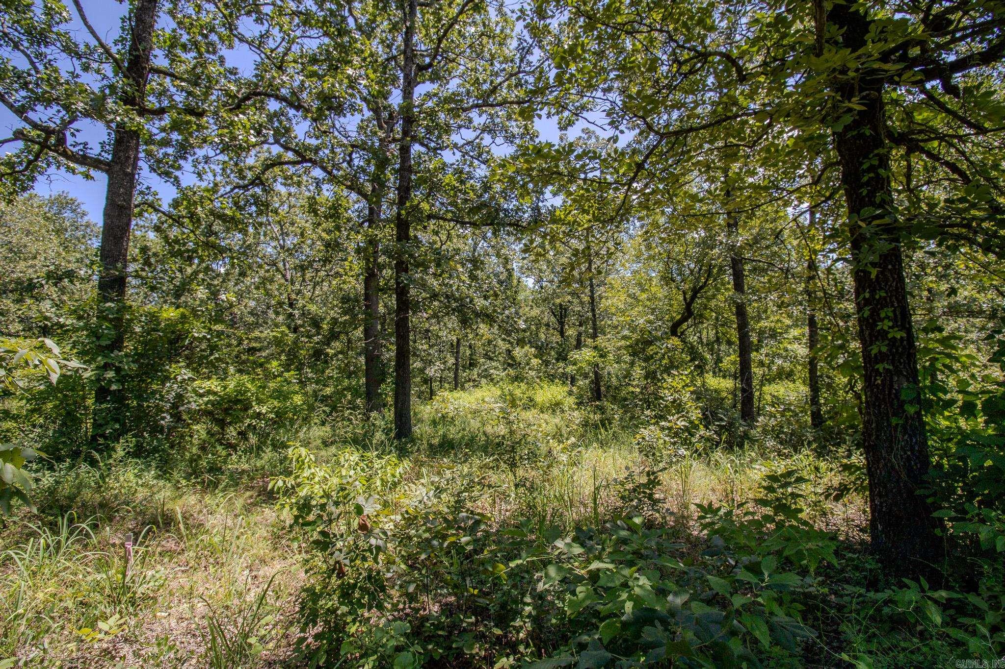 River Wood Estates - Land