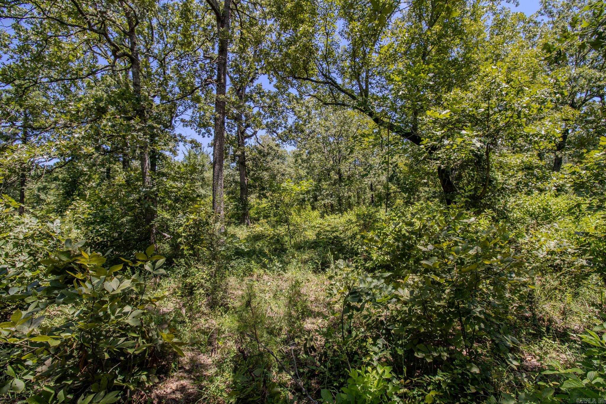 River Wood Estates - Land