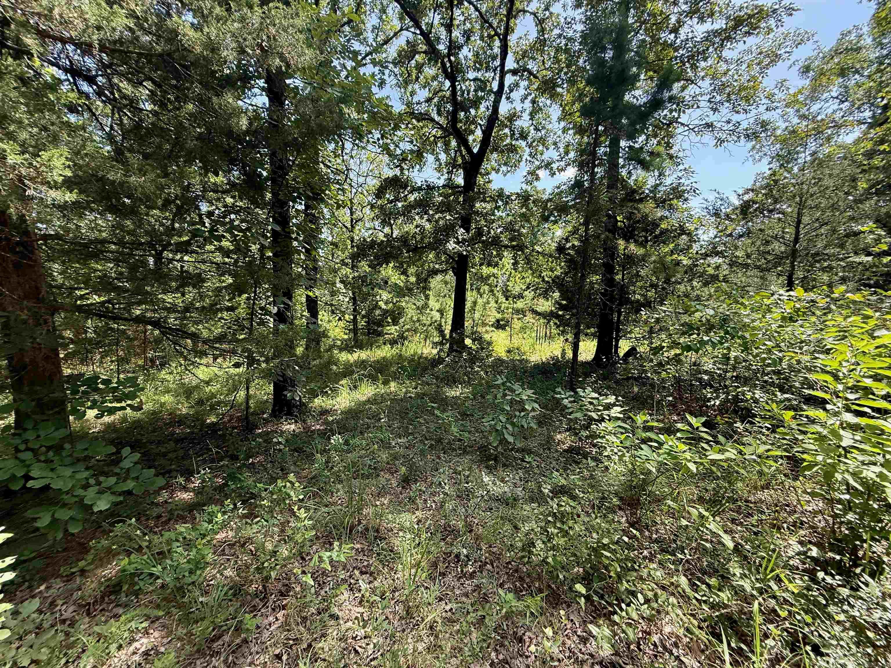 River Wood Estates - Land