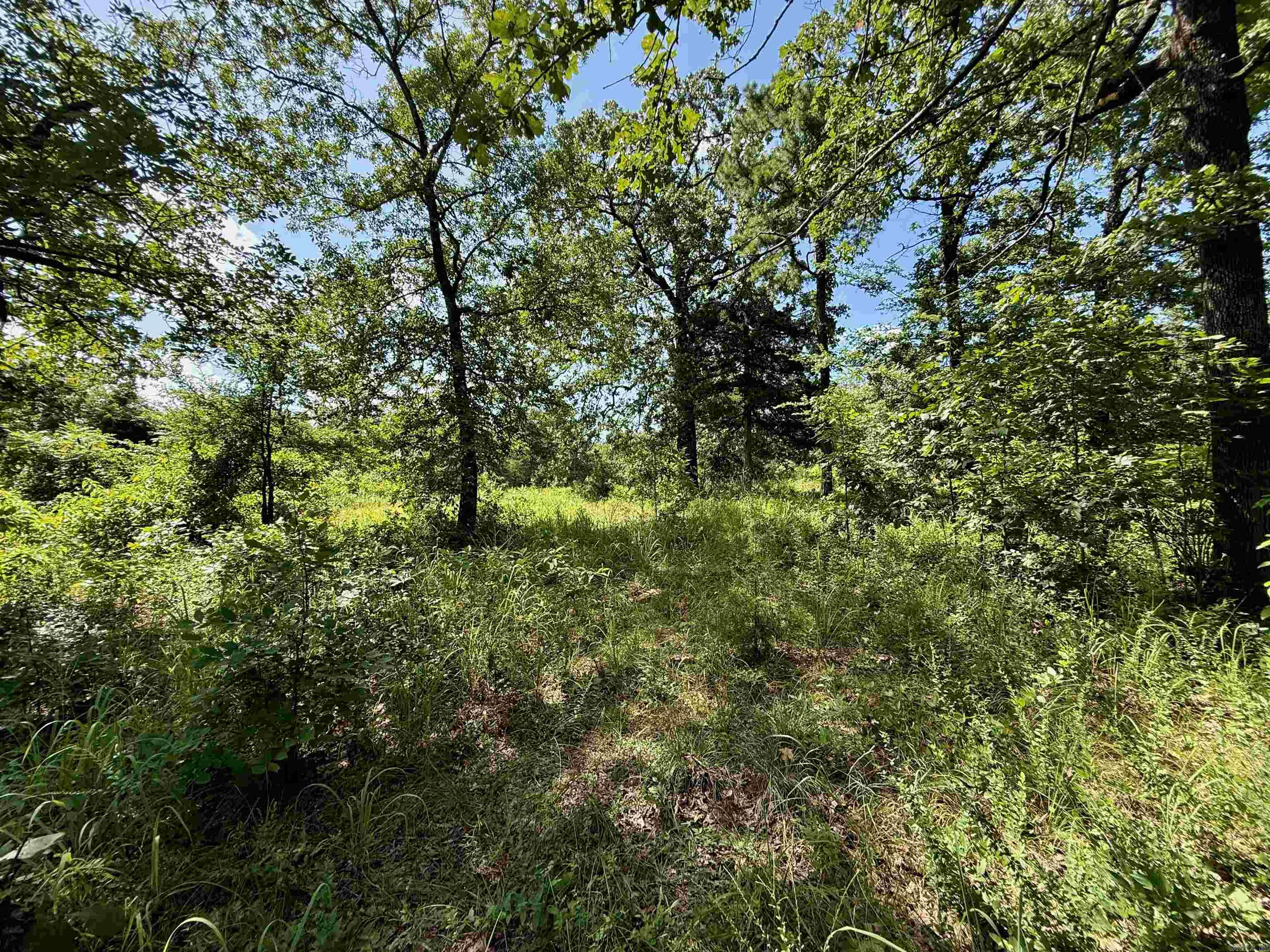 River Wood Estates - Land