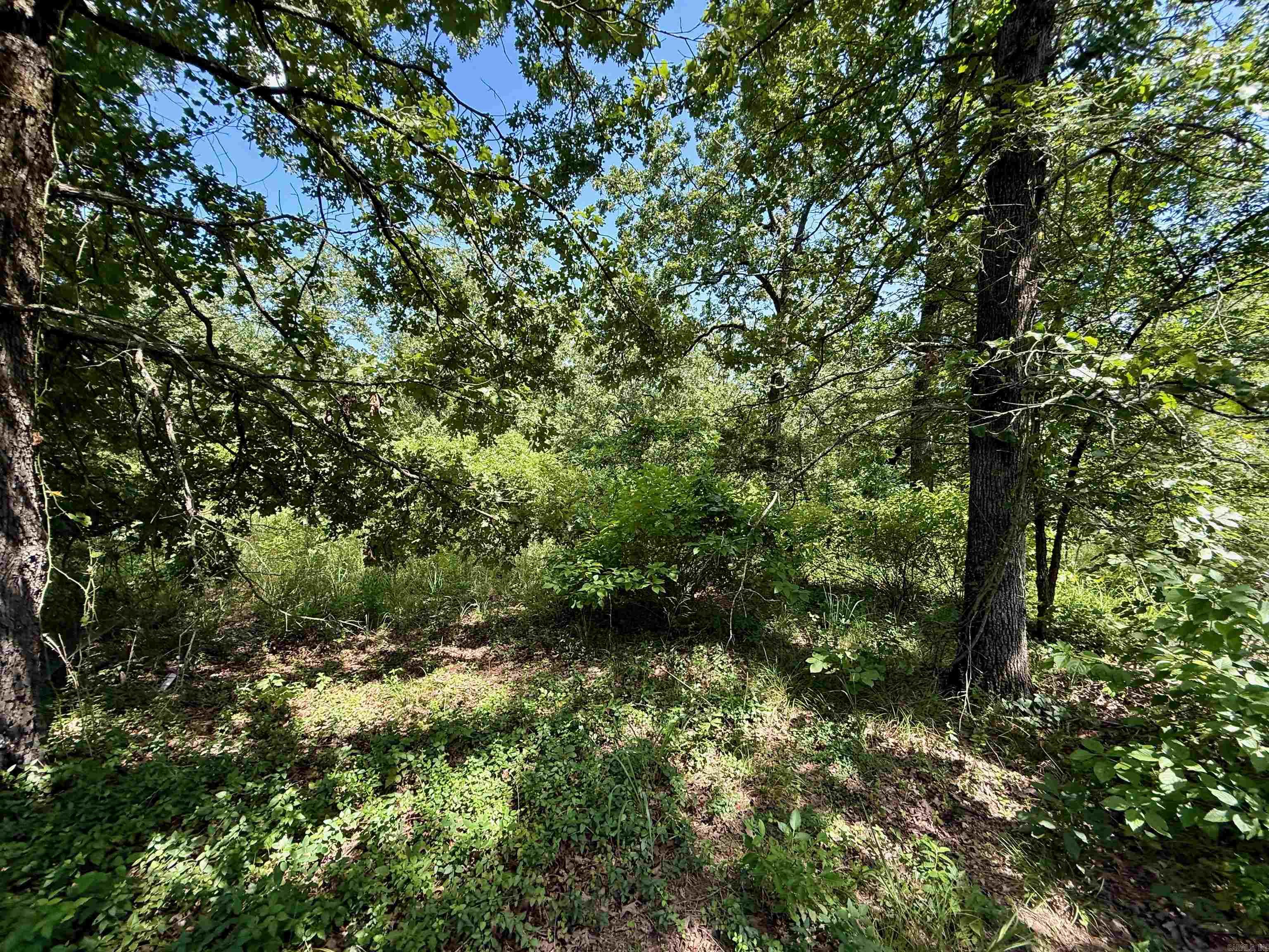 River Wood Estates - Land