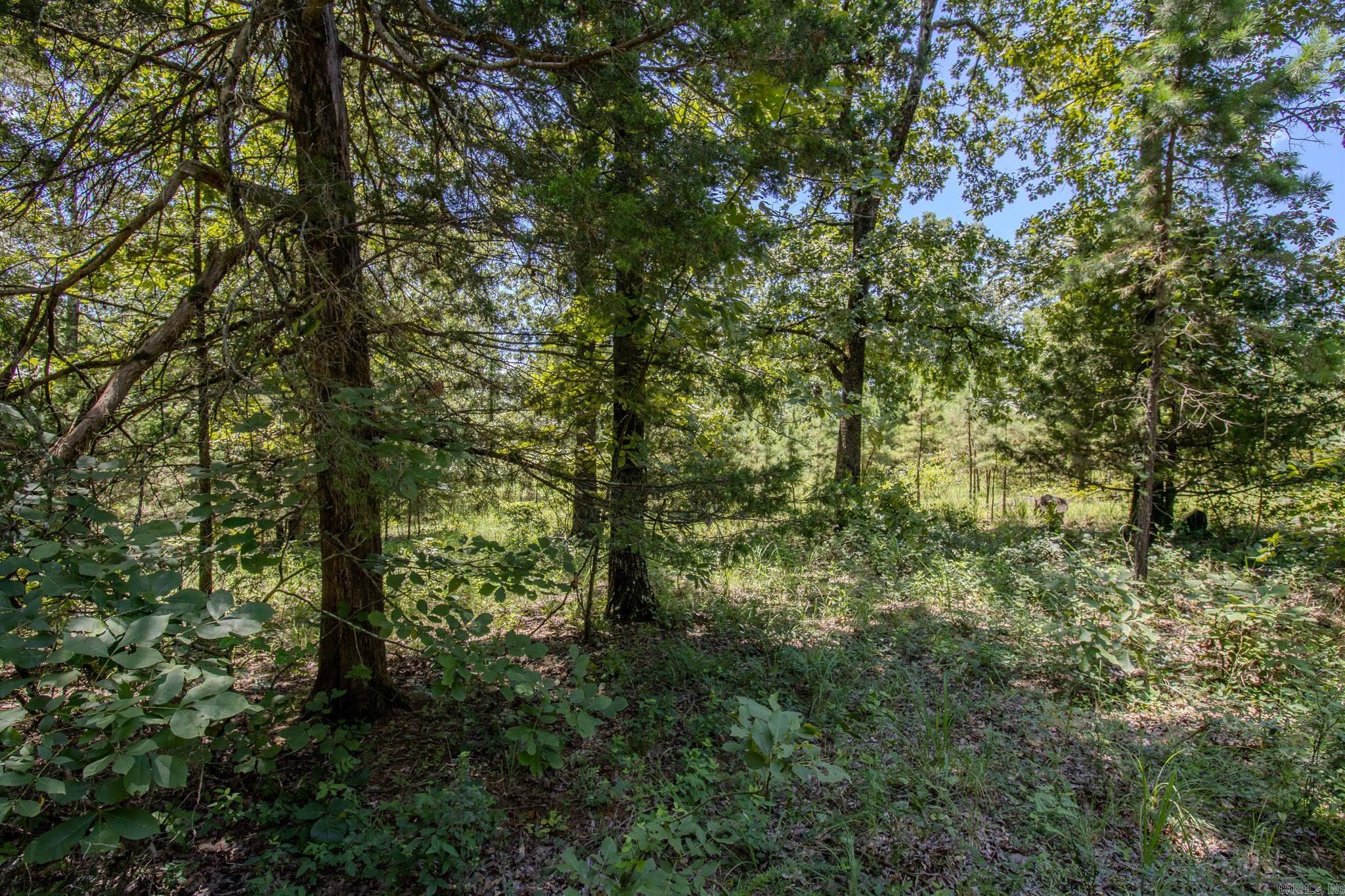 River Wood Estates - Land