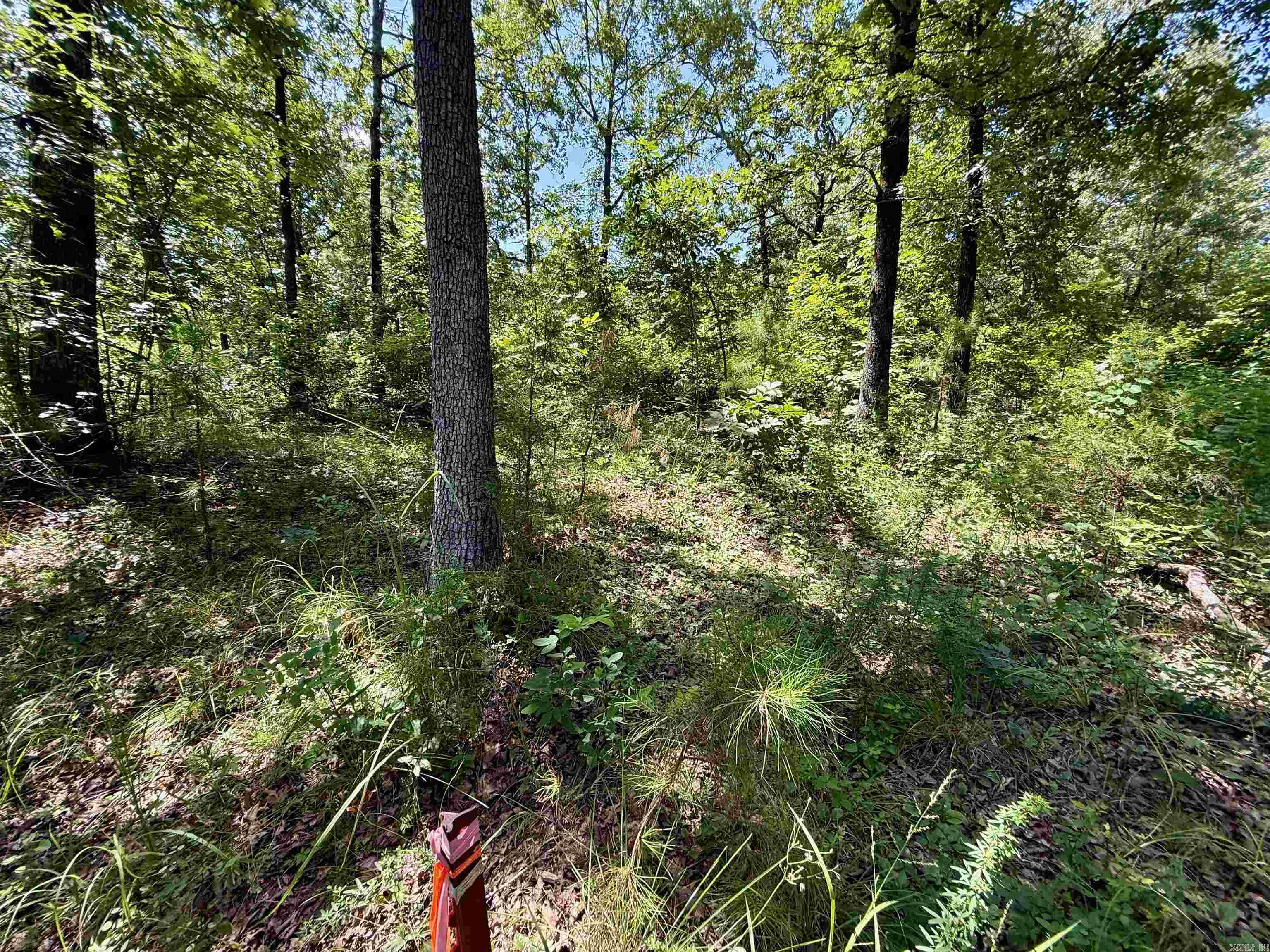 River Wood Estates - Land