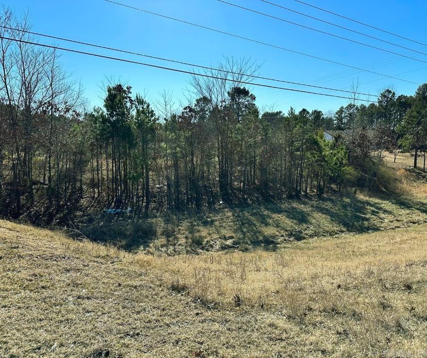 Discover the unparalleled potential of this expansive 2.58-acre parcel situated on prime highway frontage in Greene County! Whether you're dreaming of constructing your ideal home or launching a thriving new business, this versatile land offers the perfect blank canvas. With its strategic location, the property guarantees maximum visibility and accessibility, making it a rare find. Surrounded by the serene beauty of Greene County, yet close enough to local amenities and major roads, this lot is your opportunity to create something truly special. Don't miss out on the chance to transform this space into your dream reality!