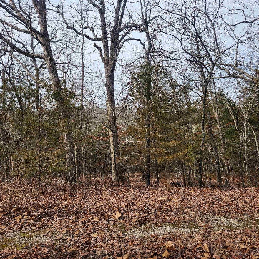 Wonderful and wooded lot in the heart of Cherokee Village. Secluded and away from it all. But close to a main road for quick exits from the Village for shopping, dining and entertainment. Buy this lot and pick your spot to build your dream home or just a getaway cabin. With ownership of this lot you will have access to all the amenities of Cherokee Village such as the 7 lakes and Two 18-hole golf courses also the Thunderbird Center and swimming pool, mini golf, parks, hiking trails and don't forget about the beautiful Southfork River for fishing, kayaking or just floating down to wet your toes. This is a wonderful lot to plan for your future home. Call to purchase this one. *** This property is Broker/agent owned***