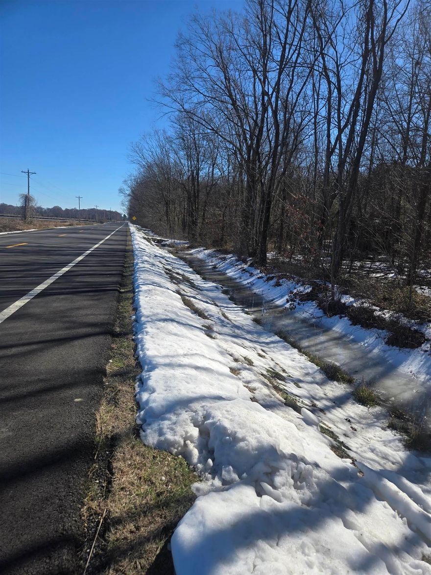 4 total parcels available! This one is .23 acres. Property is in a flood zone. Approximate lot size is 50x195x48x194. Getting a survey is encouraged.  3 other parcels available. Property is directly off of Highway 38 E. Sign is at the edge of the lot. Buyer to verify all utility information.