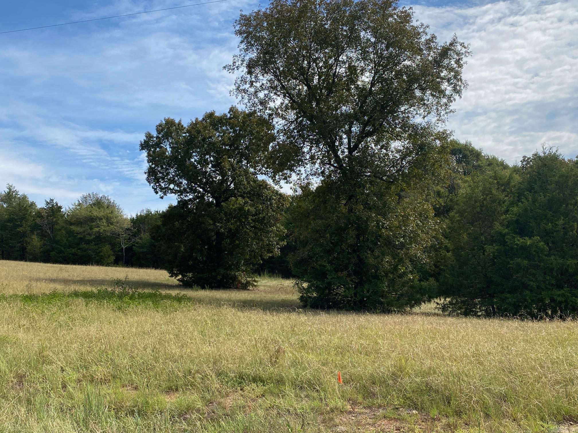 Beautiful 1.53 acre lot in Castlepines sub. This sub with its hills and easy access to Hwy 65 & Hwy 25 make it a great place to build your dream home. Sub Plat, Covenants & Restrictions online.