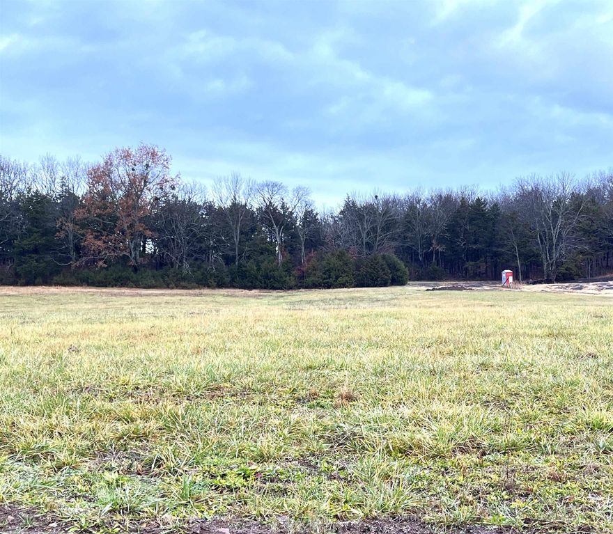 Level lot in the most beautiful subdivision in Mountain View. Indian Knob Development is on the northwest side of city limits. That means you have all the amenities offered by the city and yet you're only minutes from the National Forest. Come build your dream home in the Ozarks.