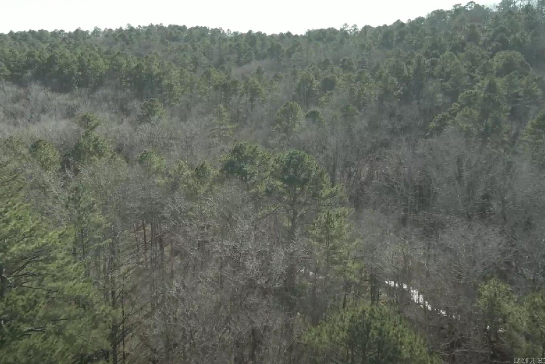 The nightly sounds of hoot owls, rustling deer and bullfrogs await this property's next owner mere feet outside of Little Rock city limits. This pristine 40 acres of land has flourished unaltered for over a century. Mature timber and a clear stream meandering through the property beckons nature lovers. Whether building your own secluded home, or developing for other uses, this property close to the Chenal Valley area is an ideal investment.