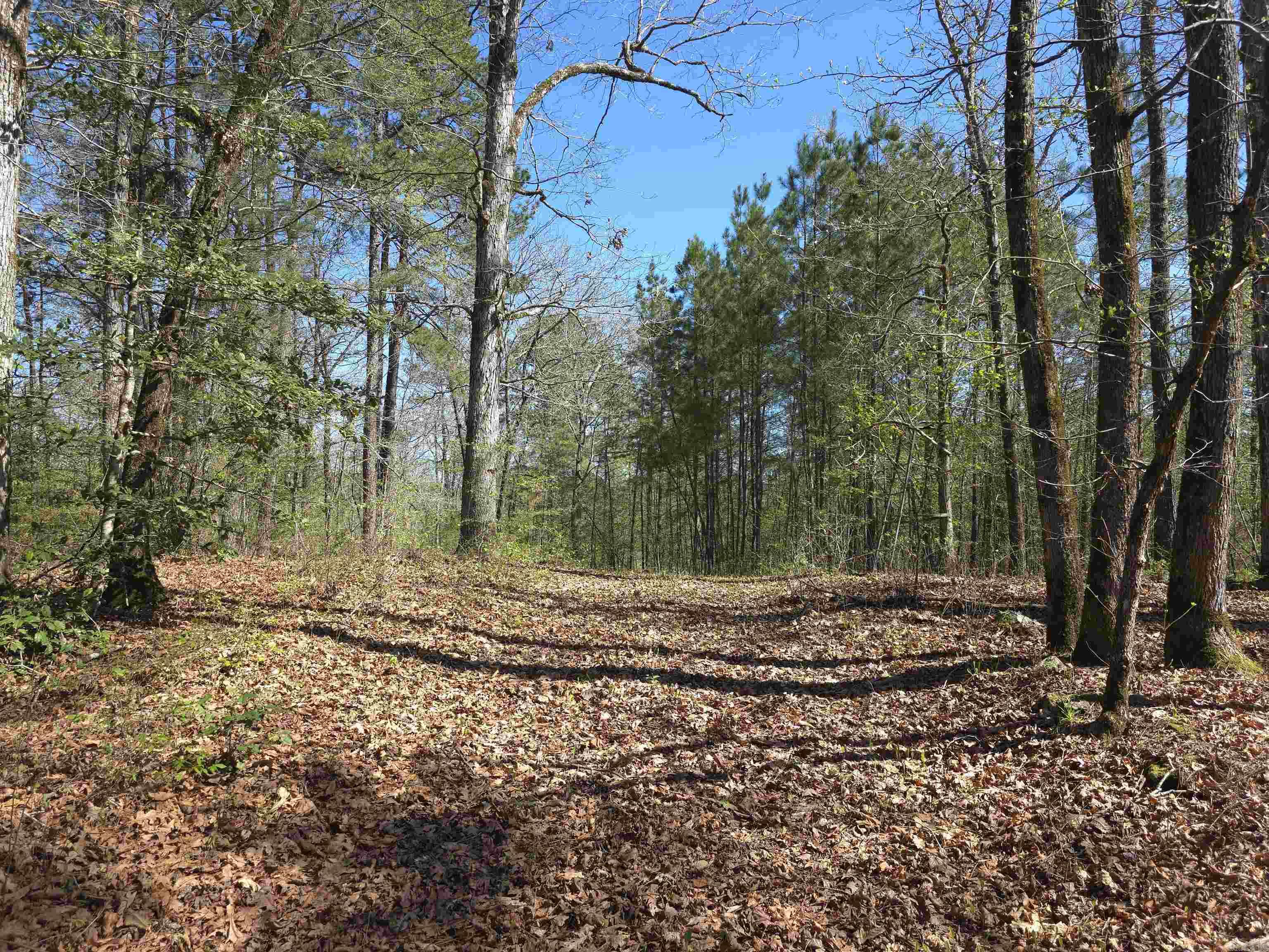 Metes & Bounds - Land