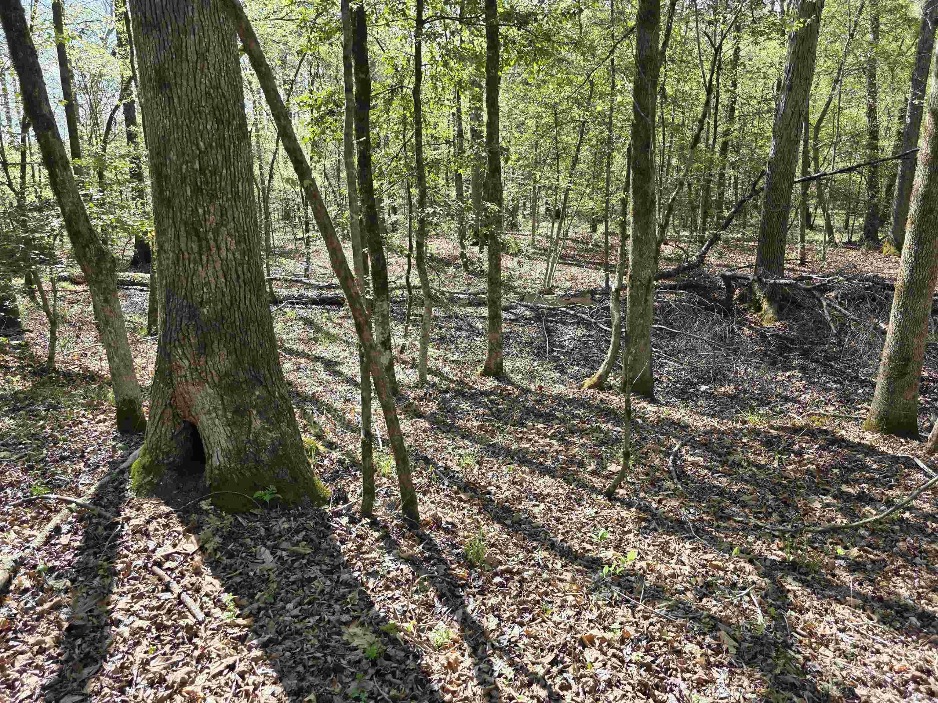 Metes & Bounds - Land