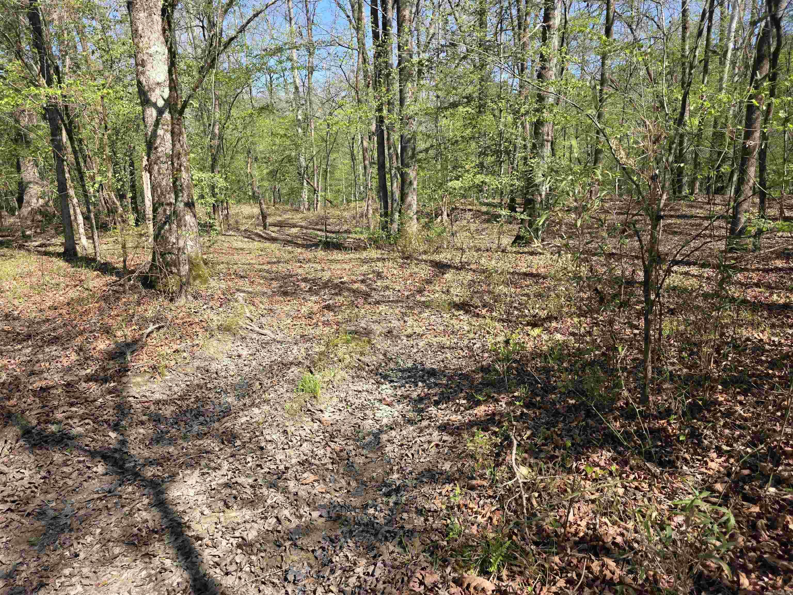 Metes & Bounds - Land