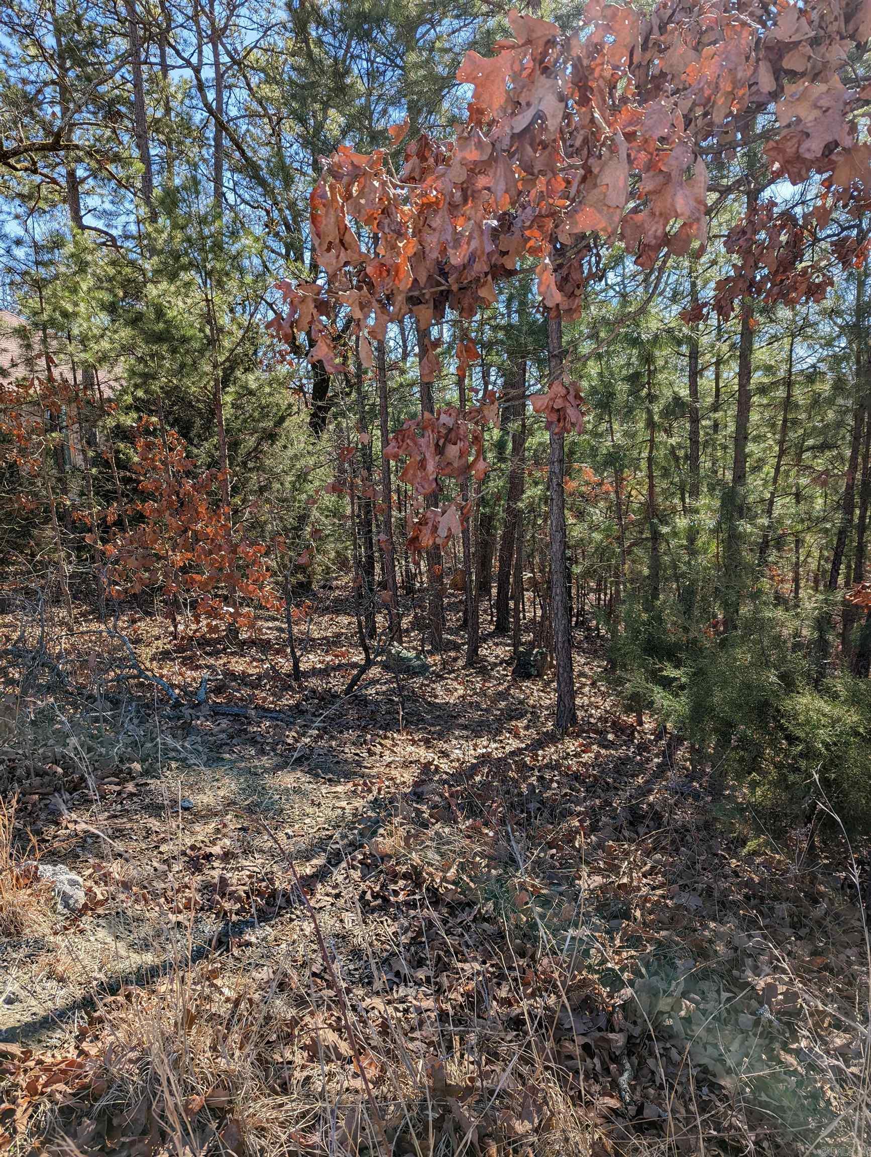 Maumelle Valley Estates - Land