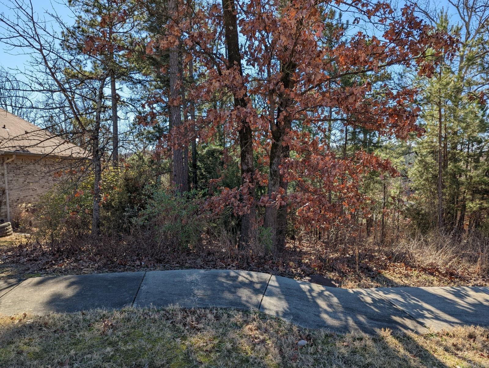Come build your dream home on this quarter acre lot, in beautiful Maumelle Valley Estate Subdivision! All builders are welcome! Bill of Assurance is available online. Call for more info today!