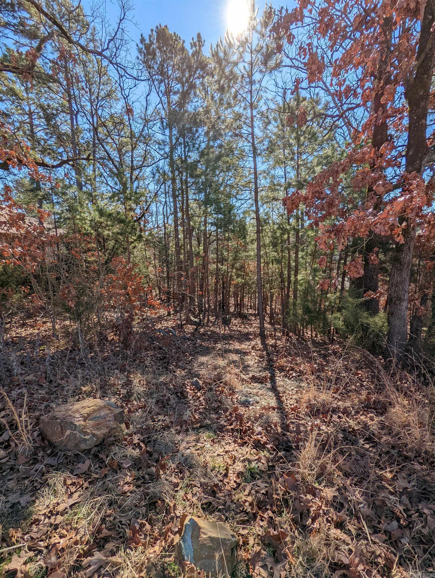 Maumelle Valley Estates - Land