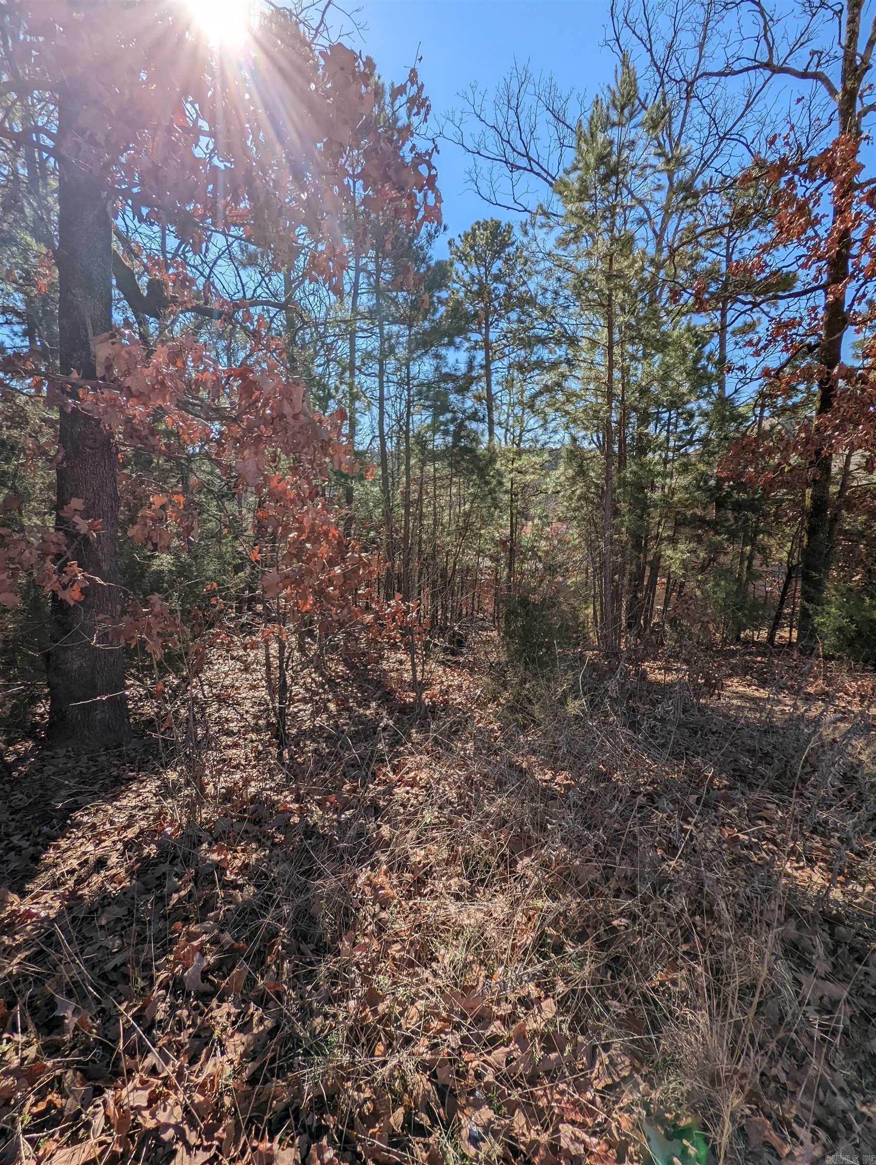 Maumelle Valley Estates - Land