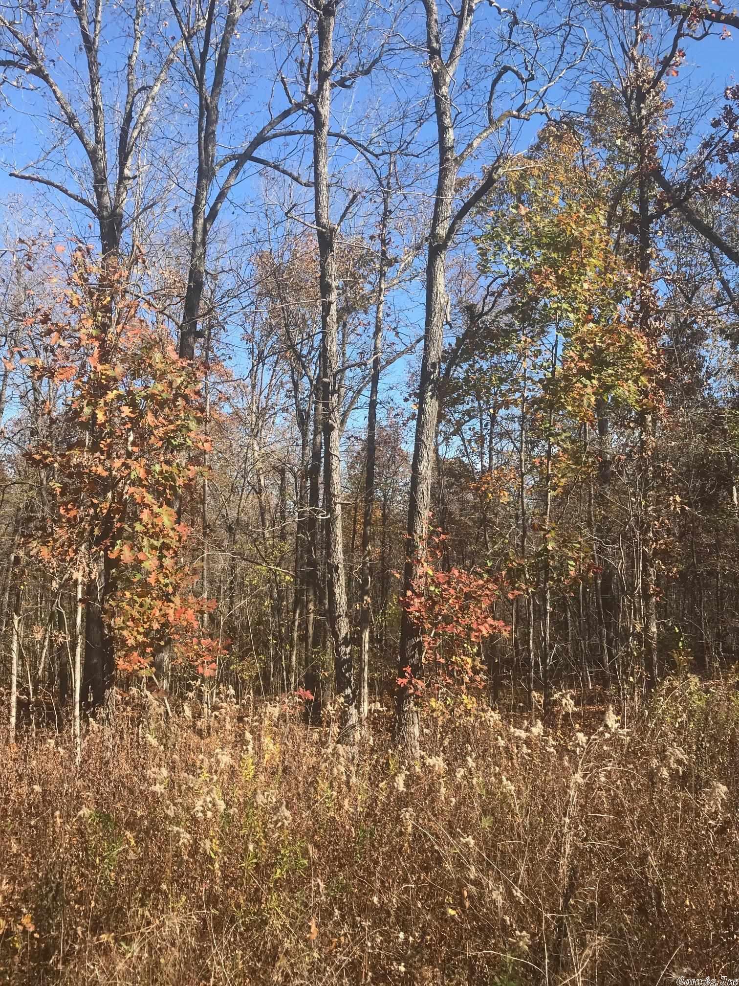 This small acreage located near Williford, AR has good Highway Frontage. Could be used as commercial or rural residential. It is equipped with electricity. Ozarks Acres Water is close. There are plenty of large trees on this property.