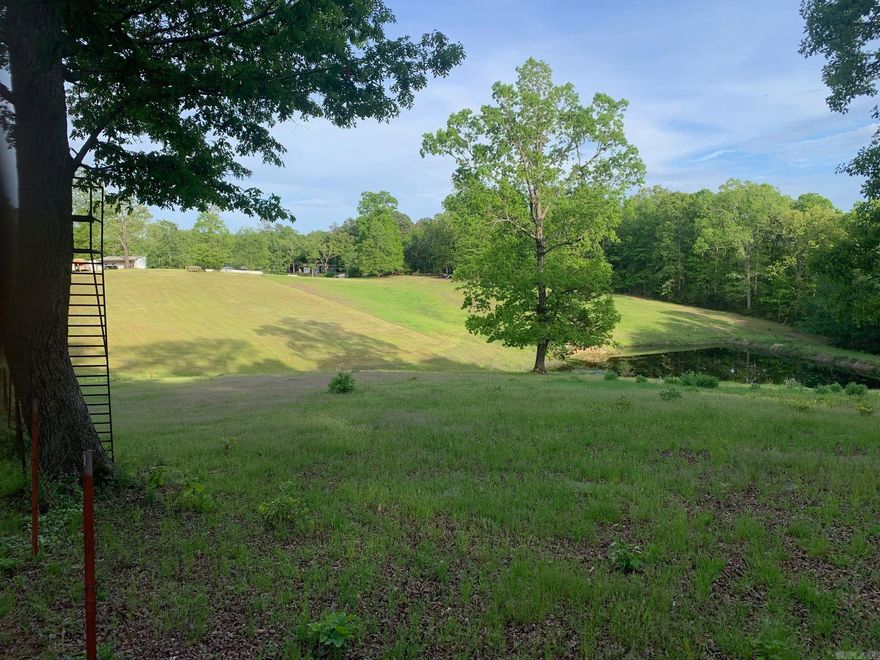 Nice acreage with Mountain Views and a pond.  There are a couple of good building sites on this property.  This property to be surveyed for exact legal description and acreage.  Restrictions apply