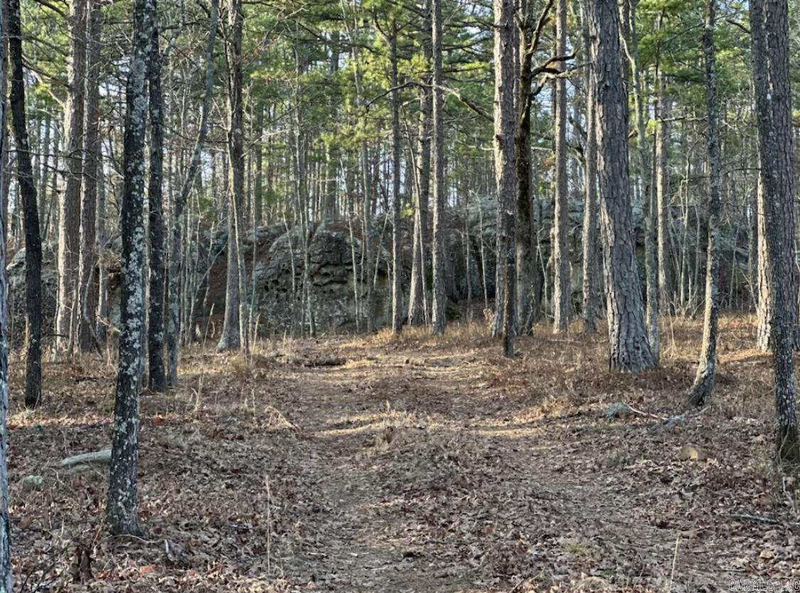 Metes & Bounds - Land