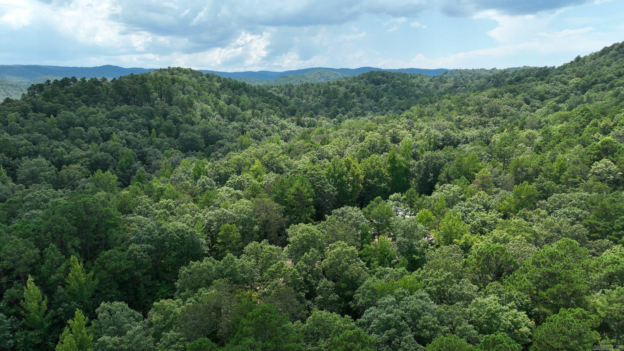 Big Fork Area - Land