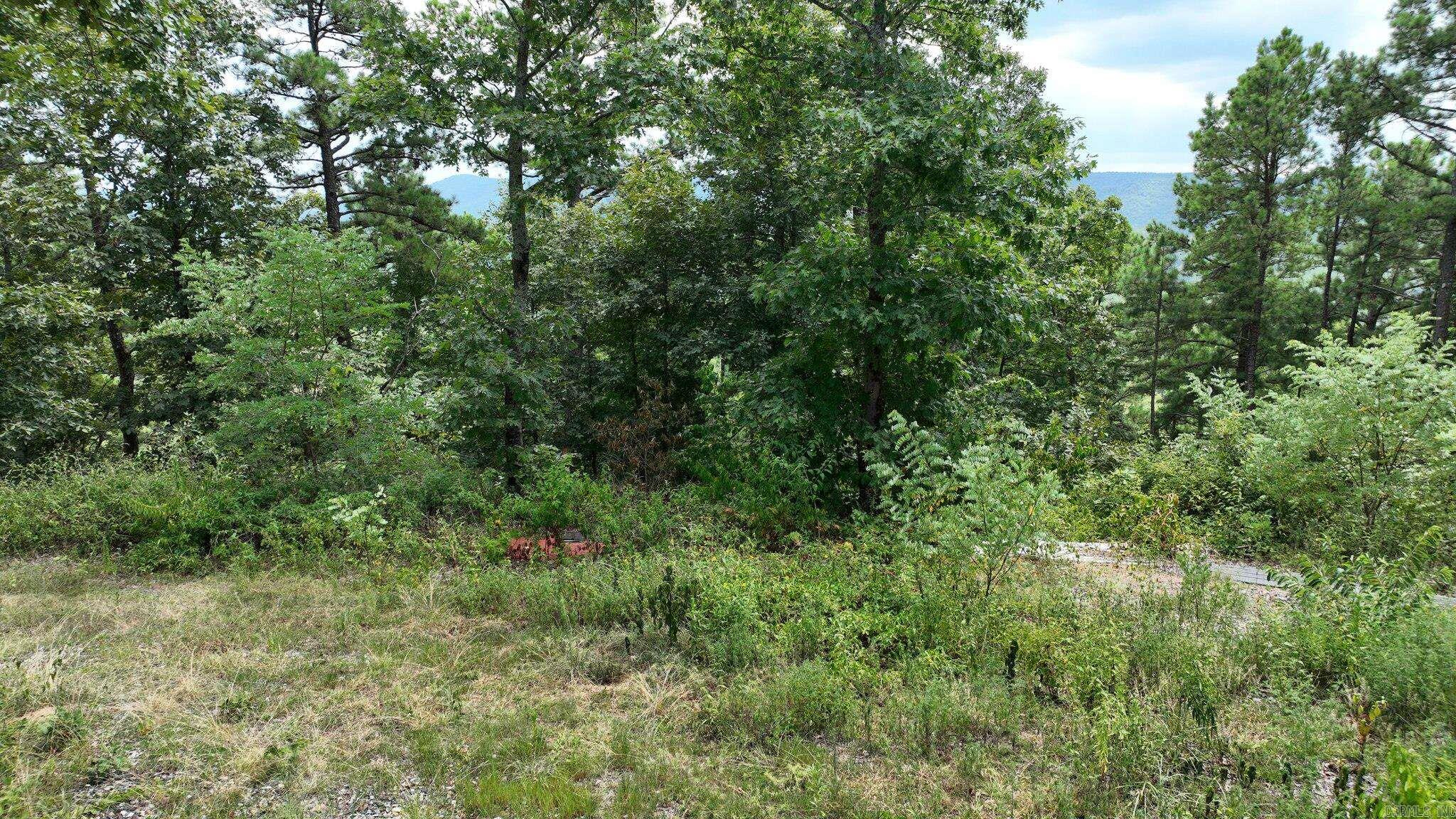 Big Fork Area - Land