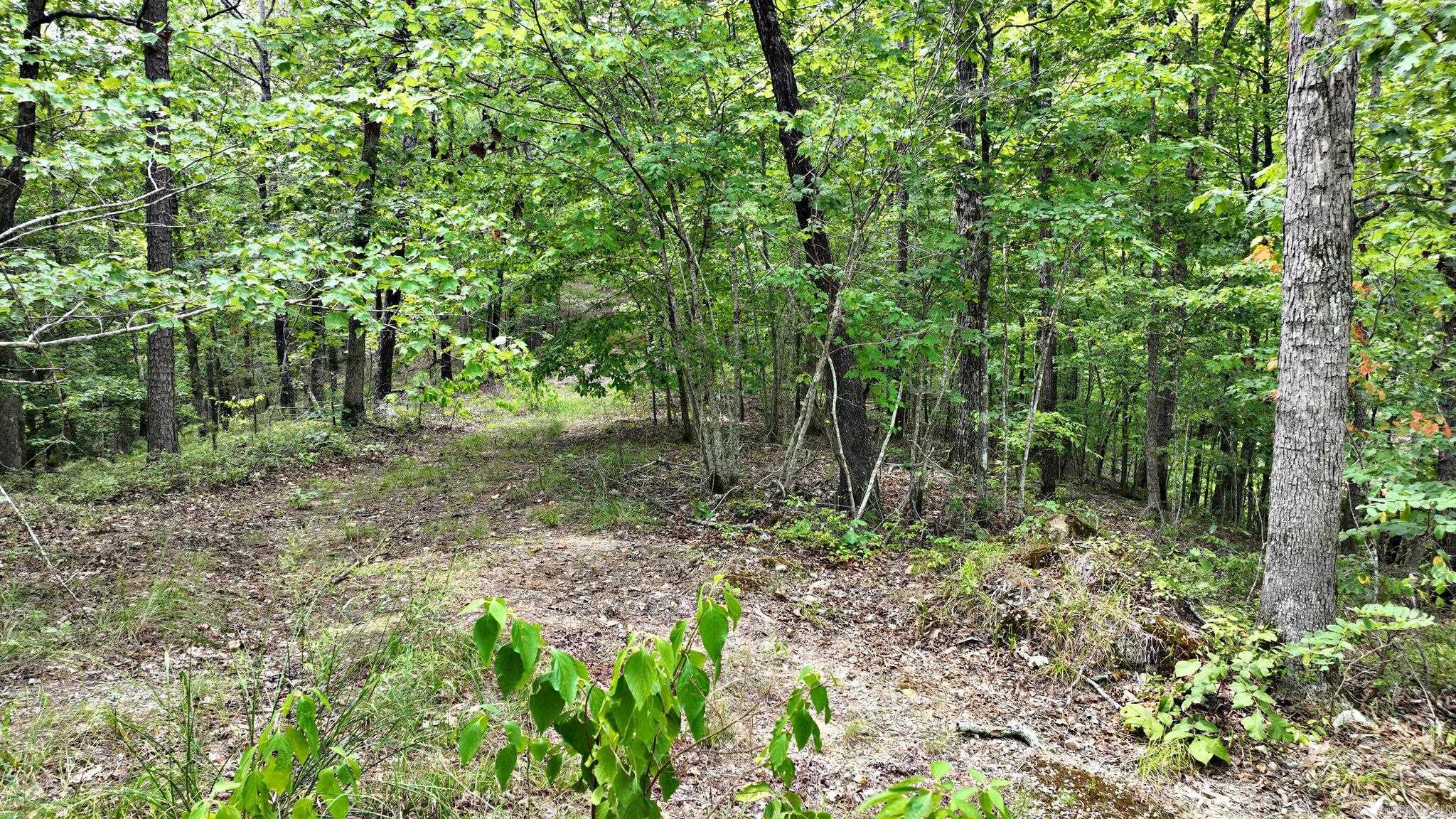 Big Fork Area - Land