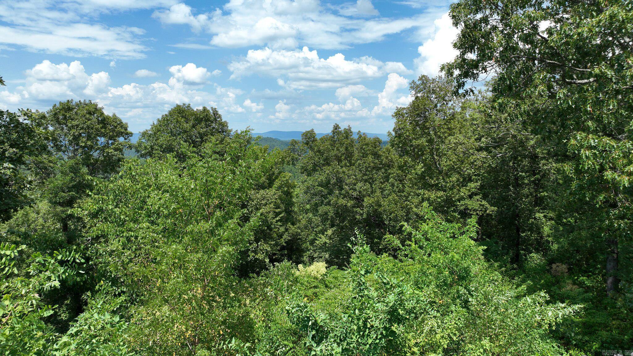 Big Fork Area - Land