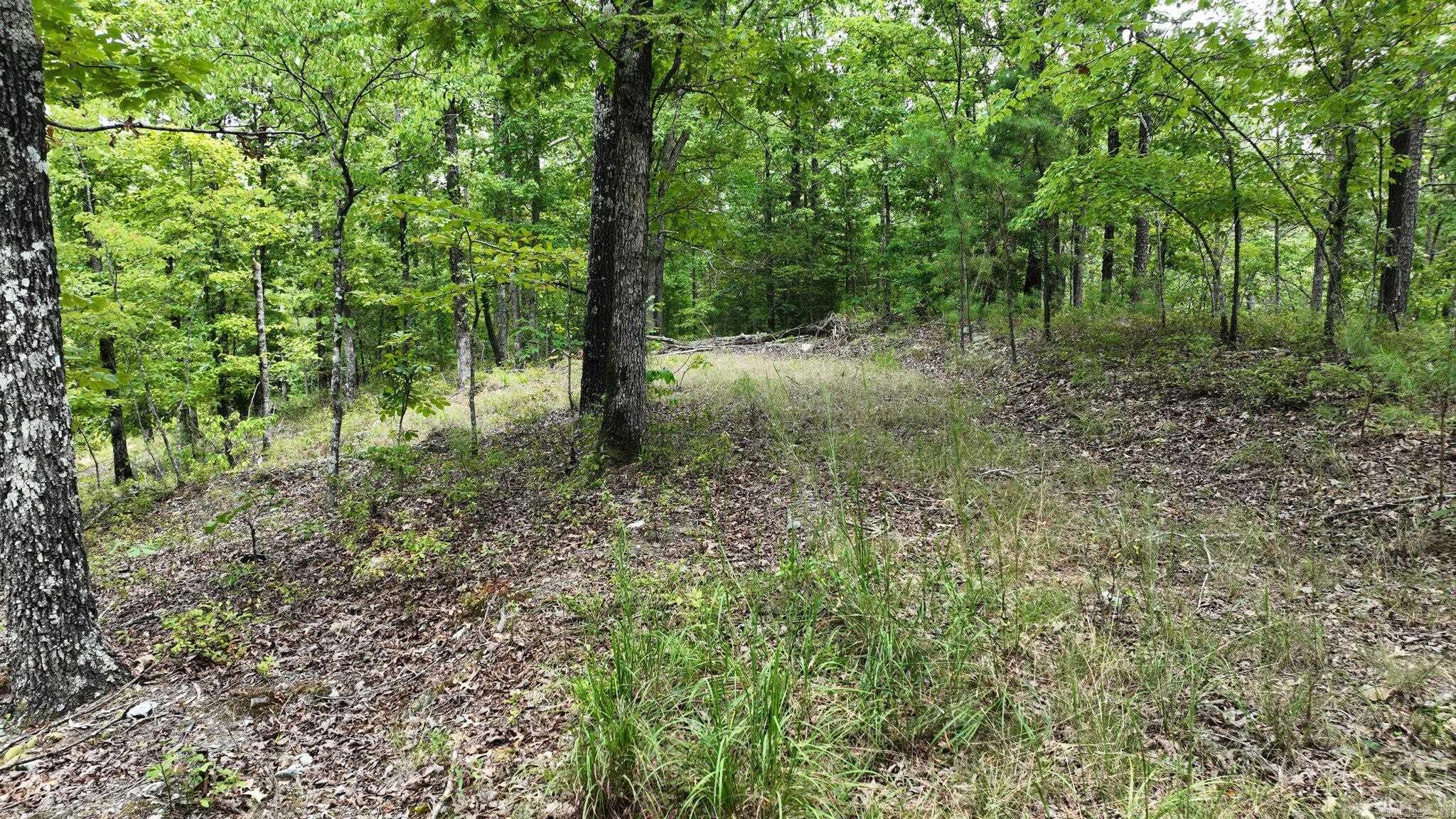 Big Fork Area - Land