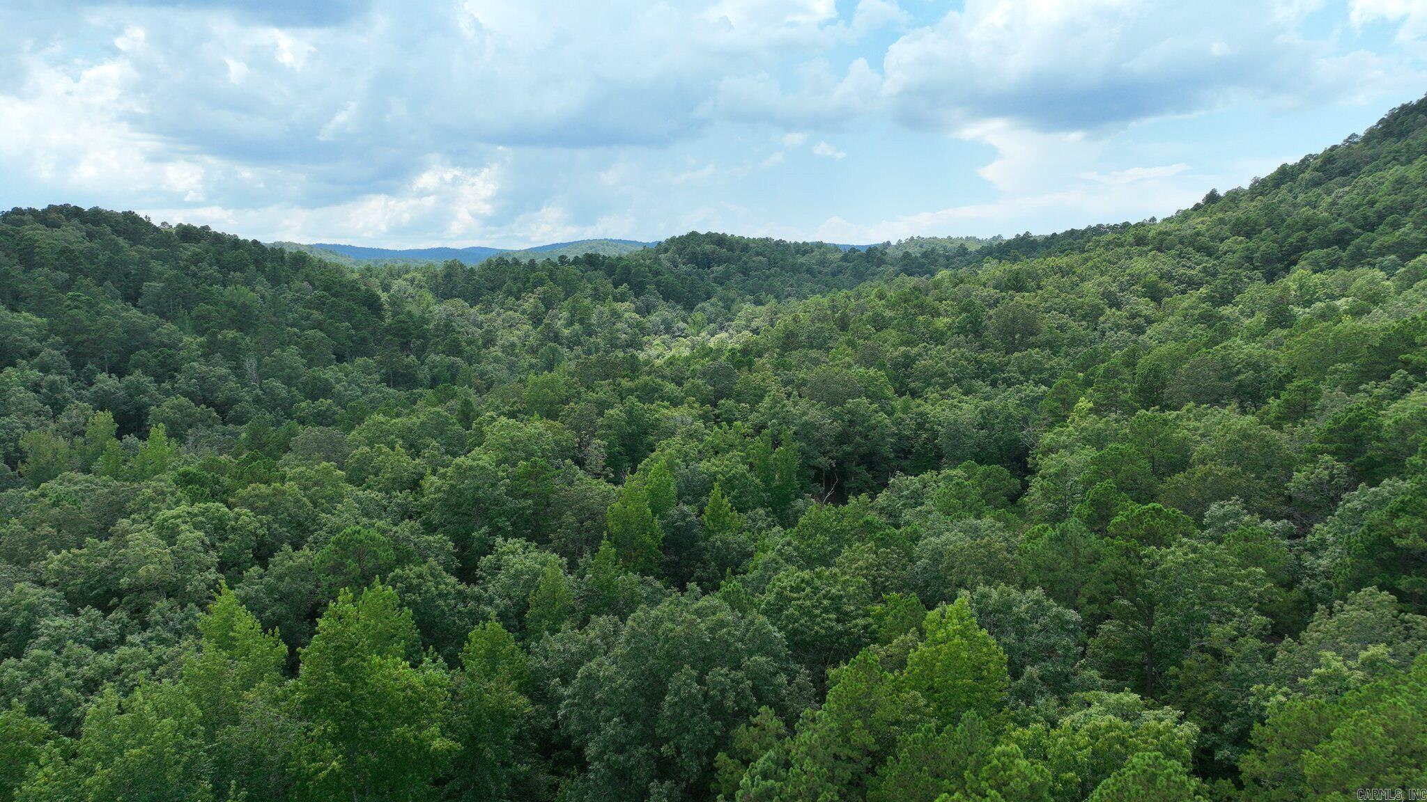 Big Fork Area - Land