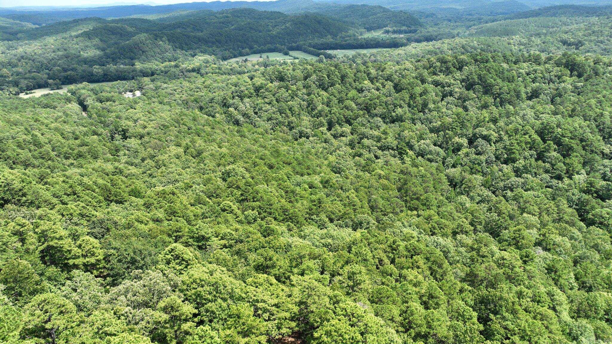 Big Fork Area - Land