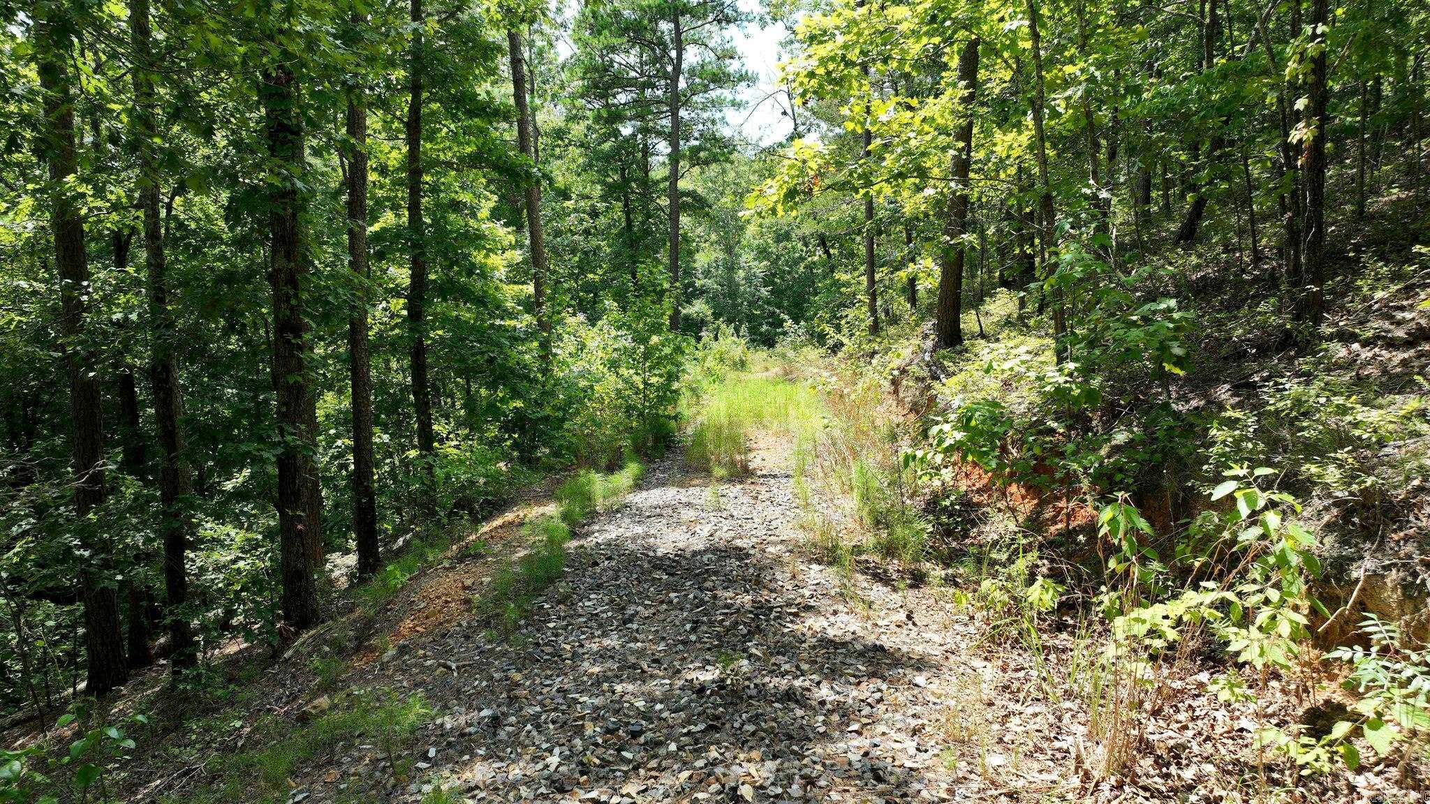 Big Fork Area - Land