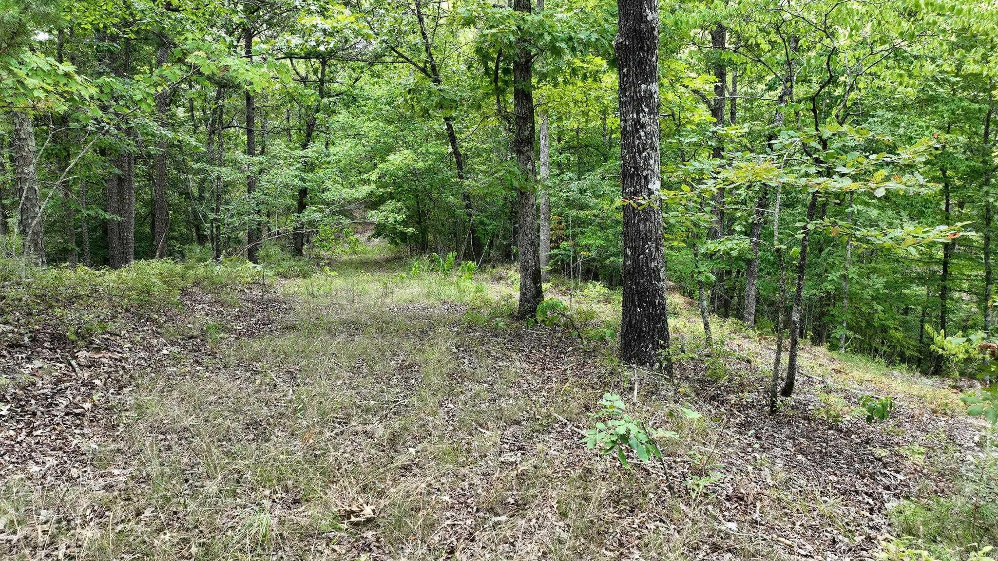 Big Fork Area - Land