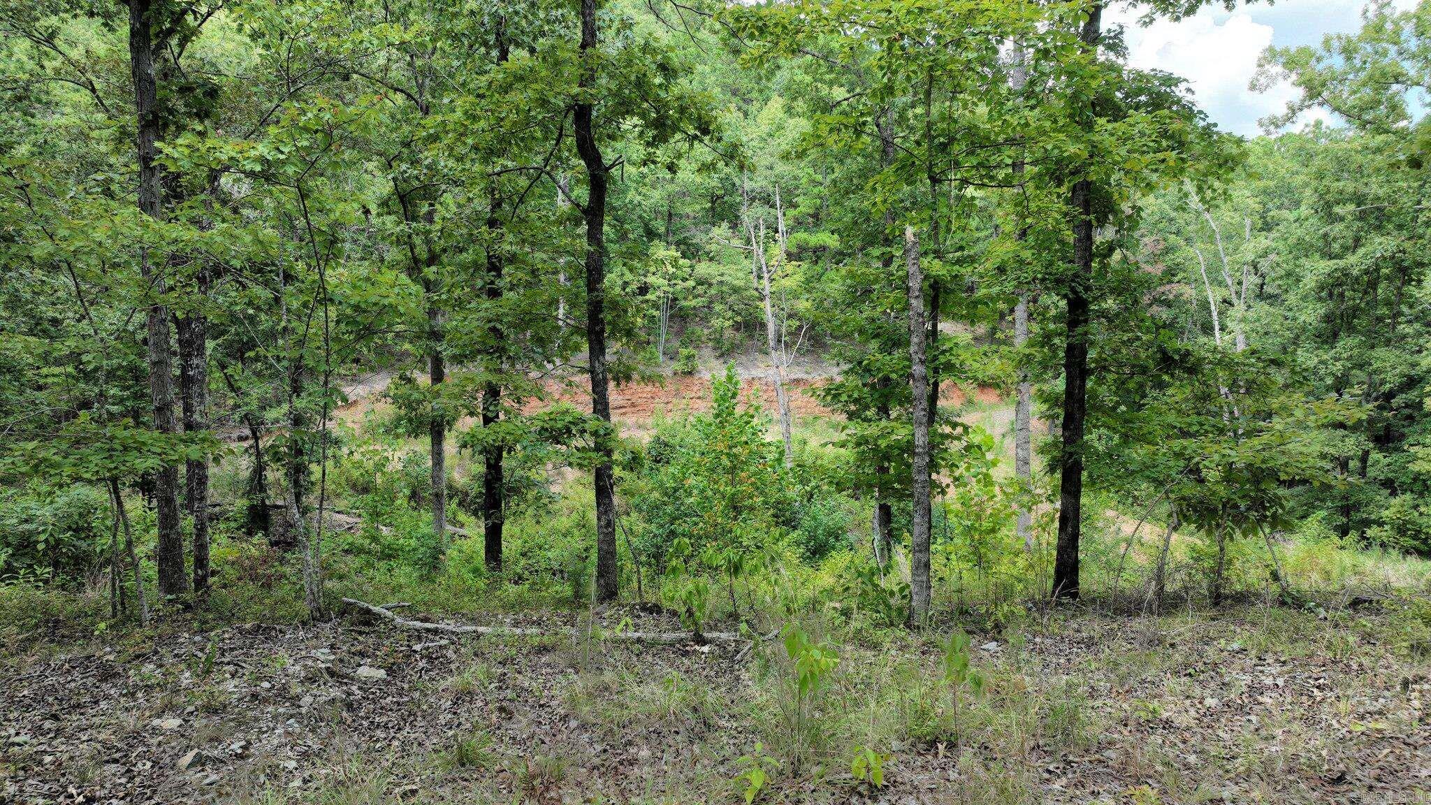 Big Fork Area - Land