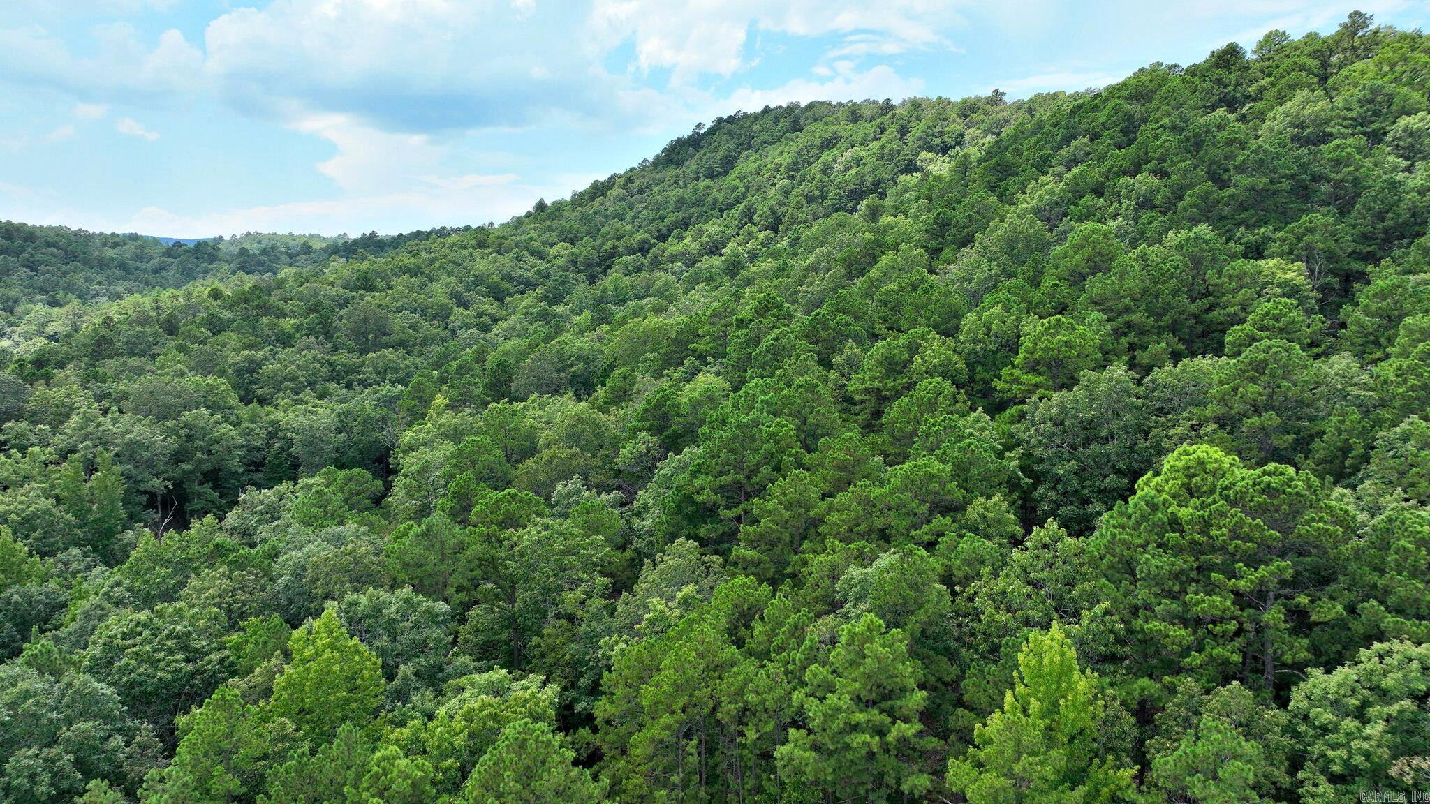 Big Fork Area - Land