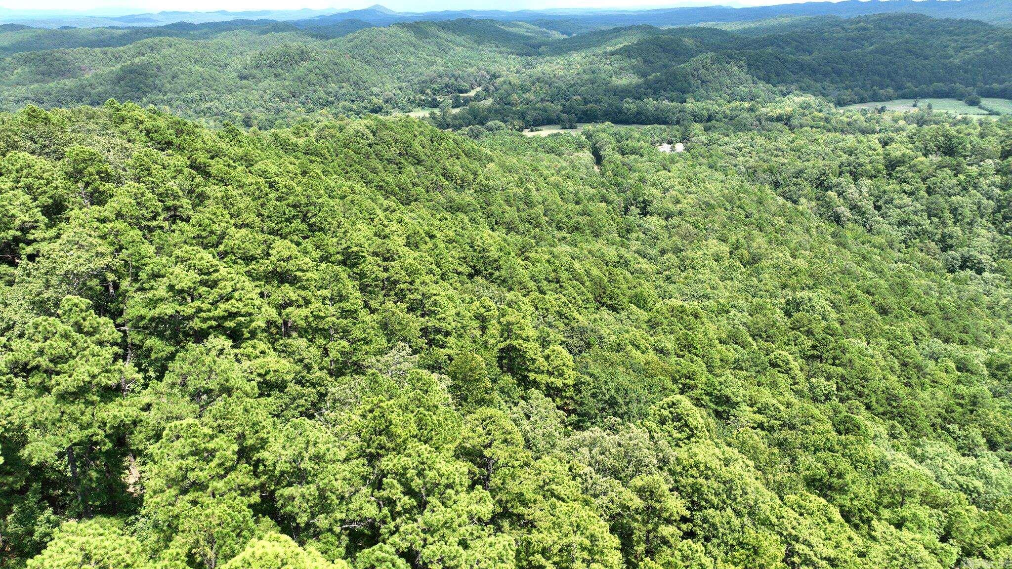 Big Fork Area - Land
