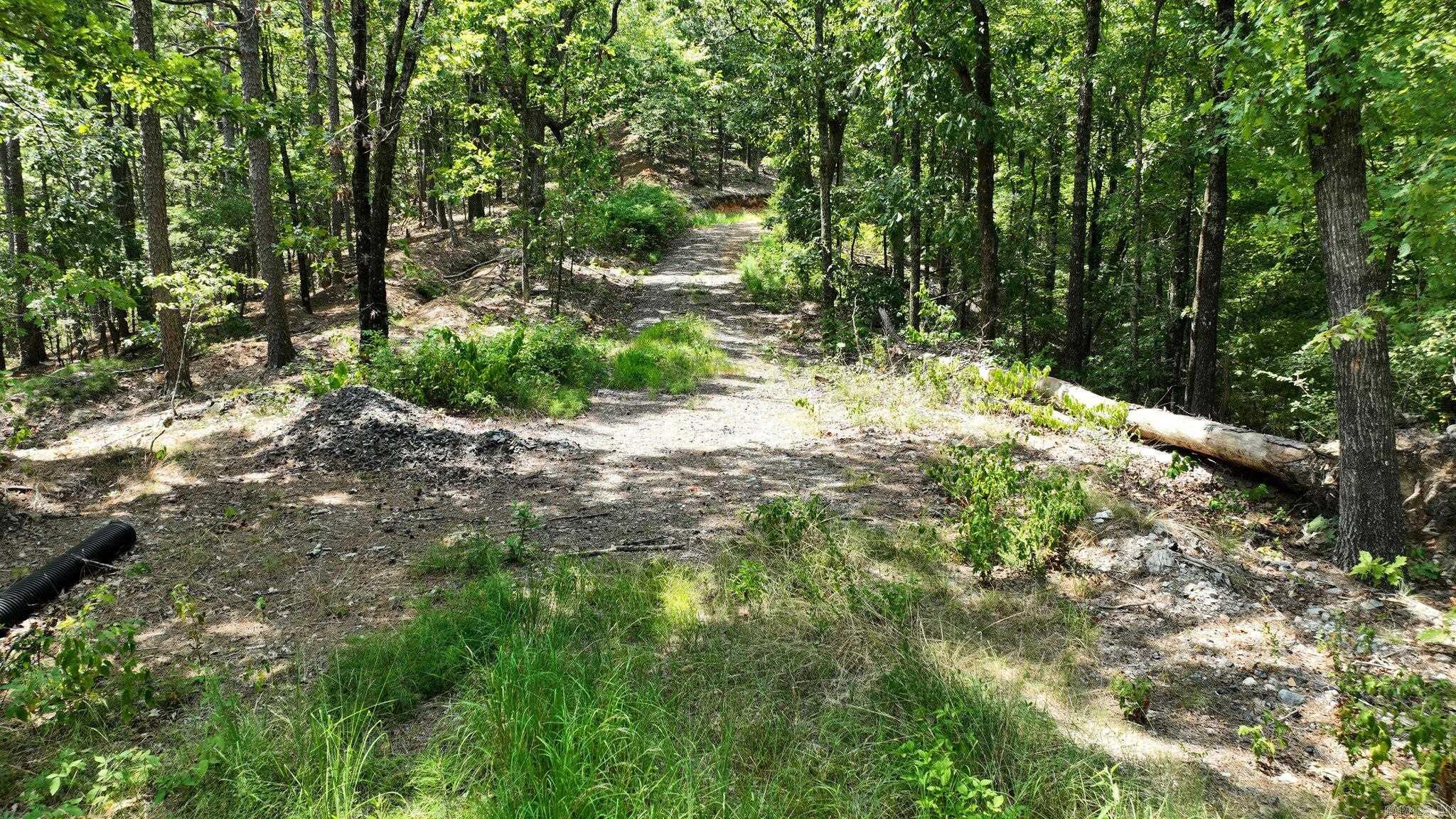 Big Fork Area - Land