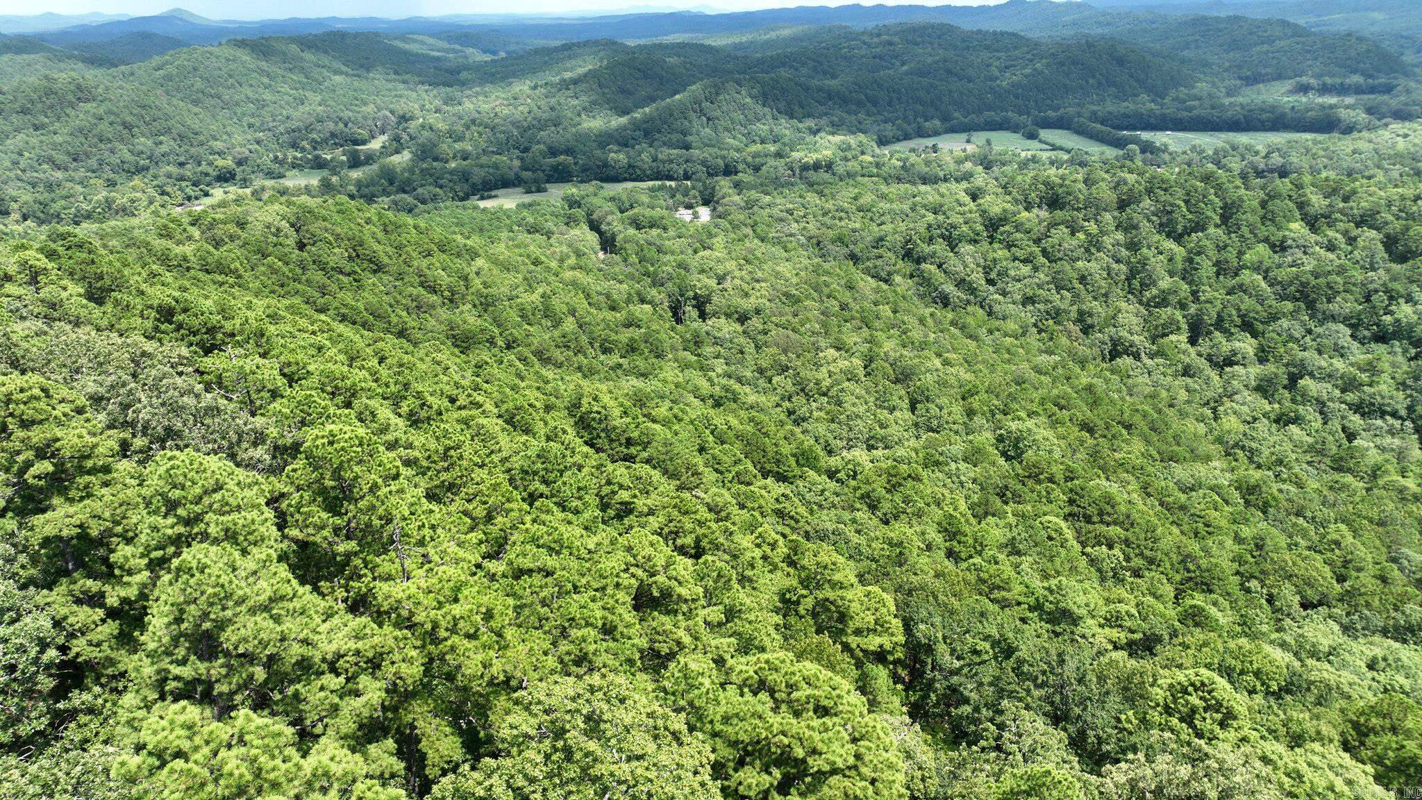 Big Fork Area - Land