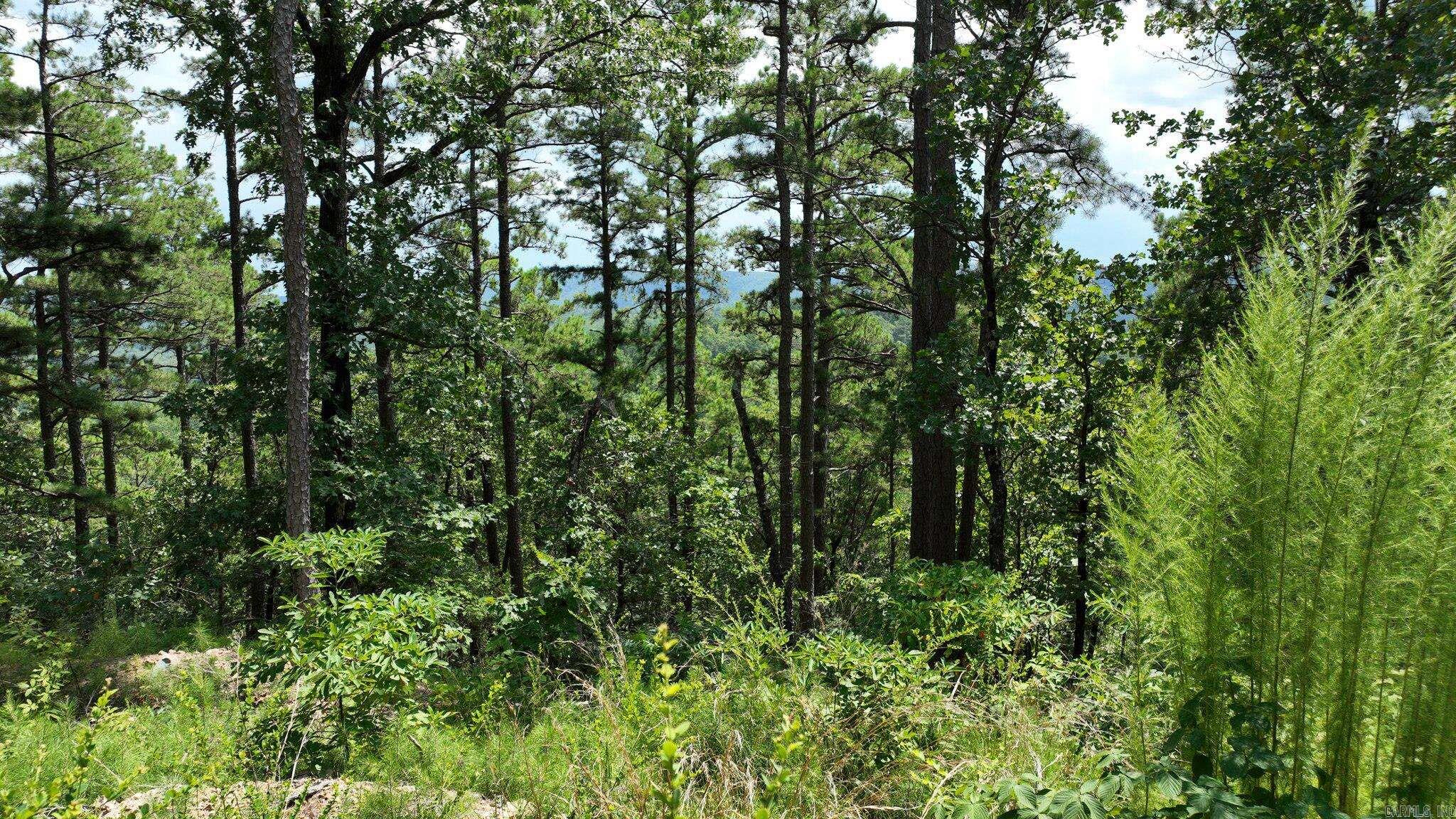Big Fork Area - Land