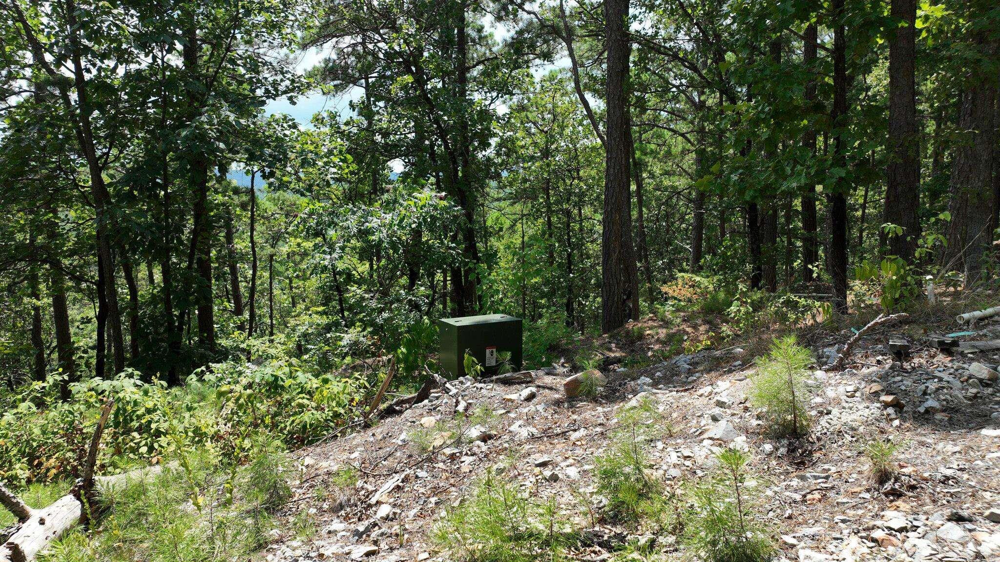 Big Fork Area - Land