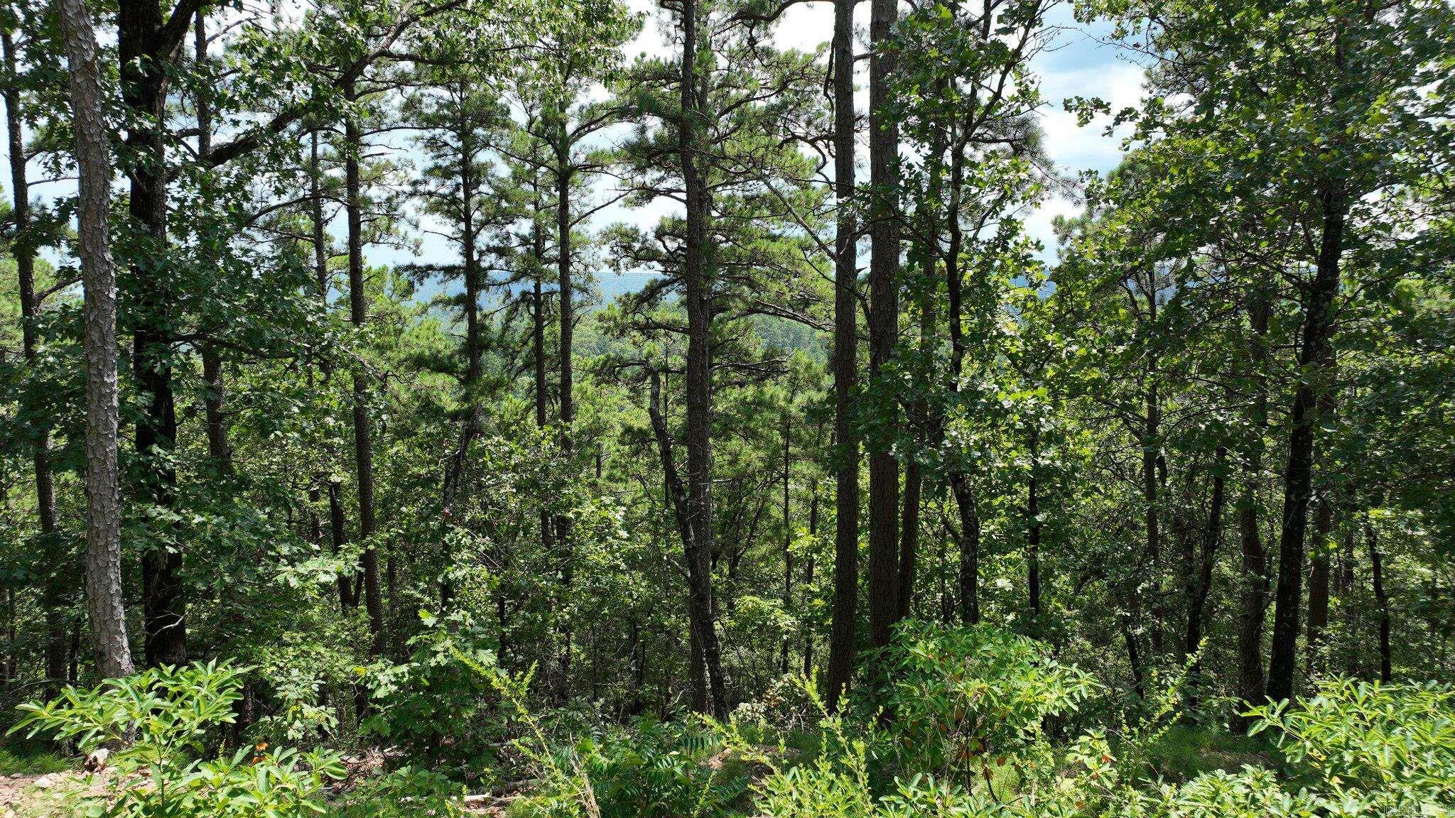 Big Fork Area - Land