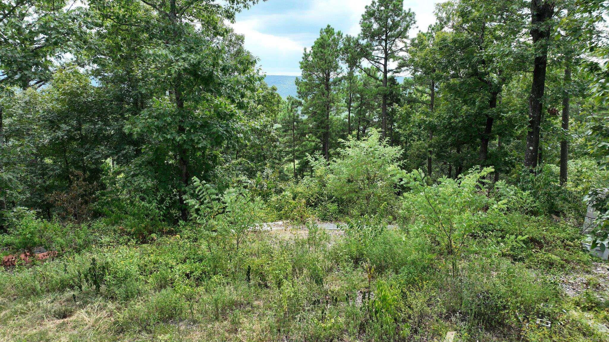 Big Fork Area - Land