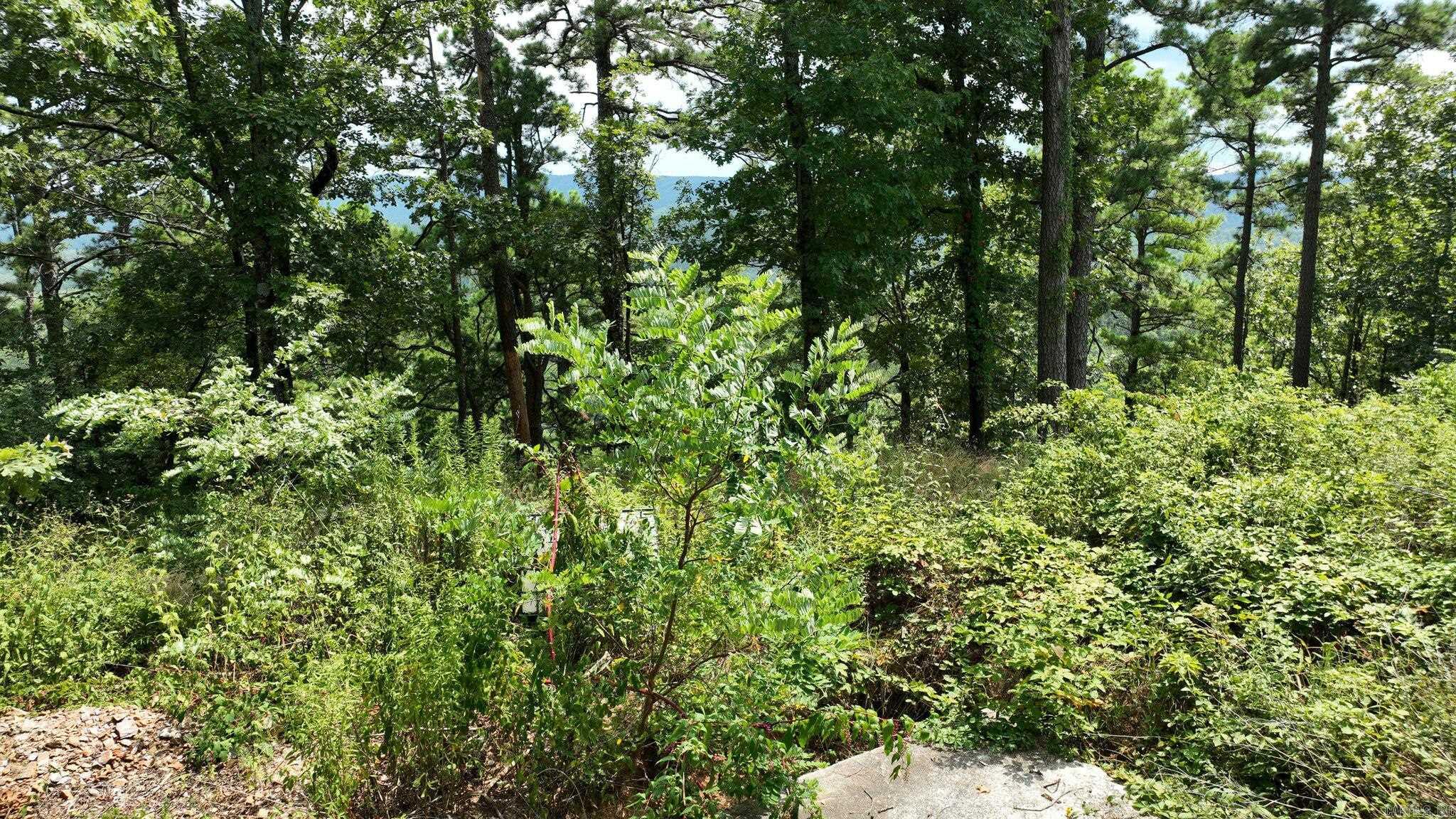 Big Fork Area - Land