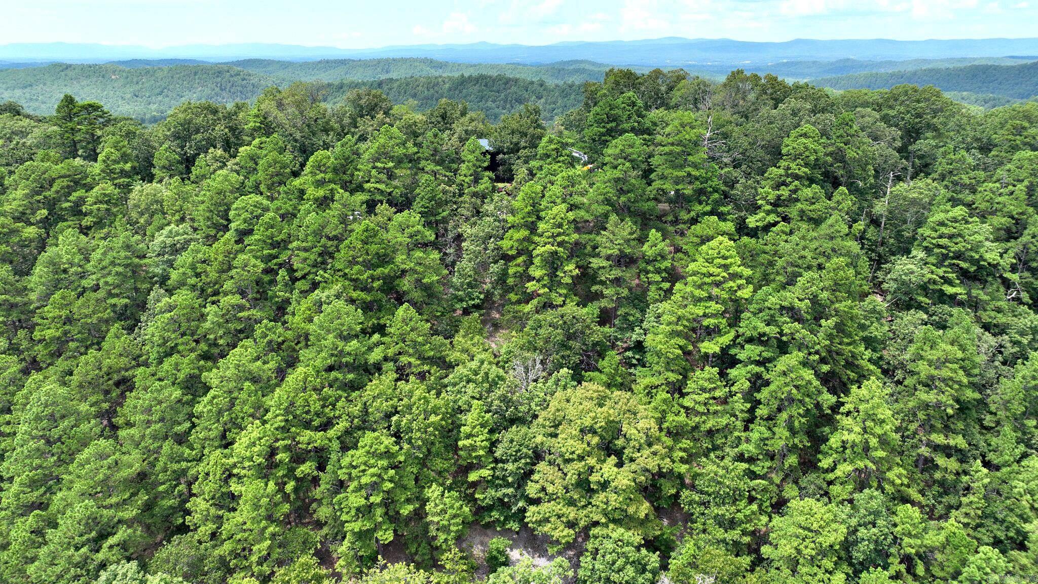 Big Fork Area - Land