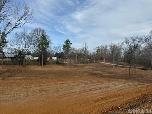 341 COUNTRY CLUB RD, POCAHONTAS, AR 72455 - Image d985bfef0fe95d2812112c8502b4bef2/3539247344