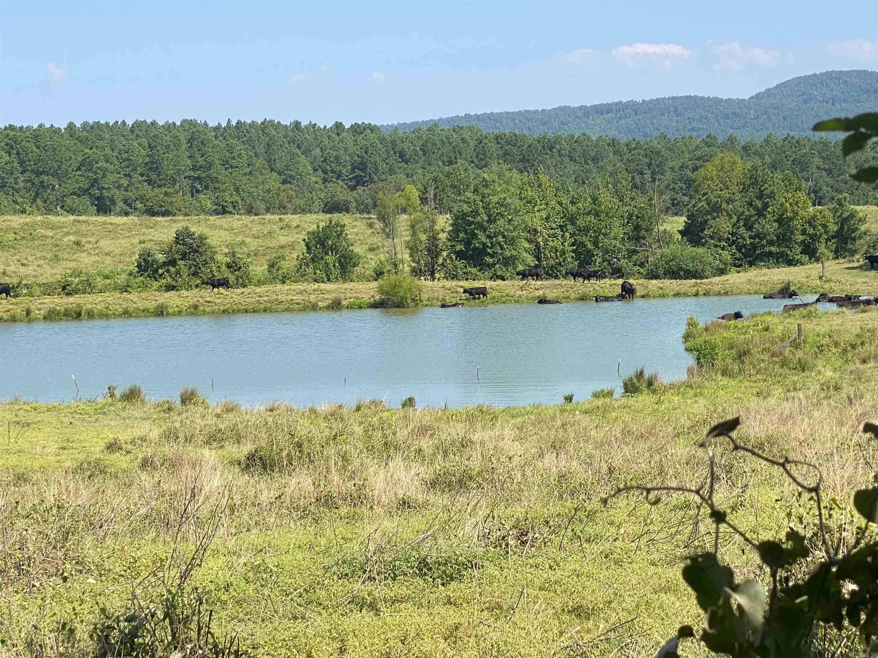 320 acres m/l with some large timber and pasture to boot! Property is surrounded by National Forest with Old Caddo Gap Road running in the middle of the property. Approximately 70 acres on one side with two ponds and hay storage. This part has the majority in pasture. The remaining 250 acres m/l includes another pole barn and two ponds as well. Lots of trails going through the property and out to National Forest with a creek on the property! This would be a wonderful place to hunt with your spill over hunting into the US Forest property. Call today to view this one-of-a-kind parcel.