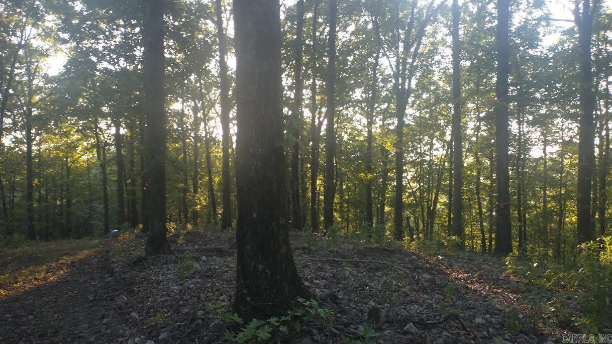 "Burnham Mountain Estates" Lot Q that has 4.95 acres is for sale ,a buildable lot with mature trees ,mostly white oaks and red oaks ,just an awesome and peaceful place! Majestic views of the Ouachita Mountains and the Caddo River right across hwy 8 . Seller has dozed the easement in and built water bars in place to keep the road from washing. .You can drive up with a 4-wheel drive . Anyone looking for a special retreat ,this is the place!
